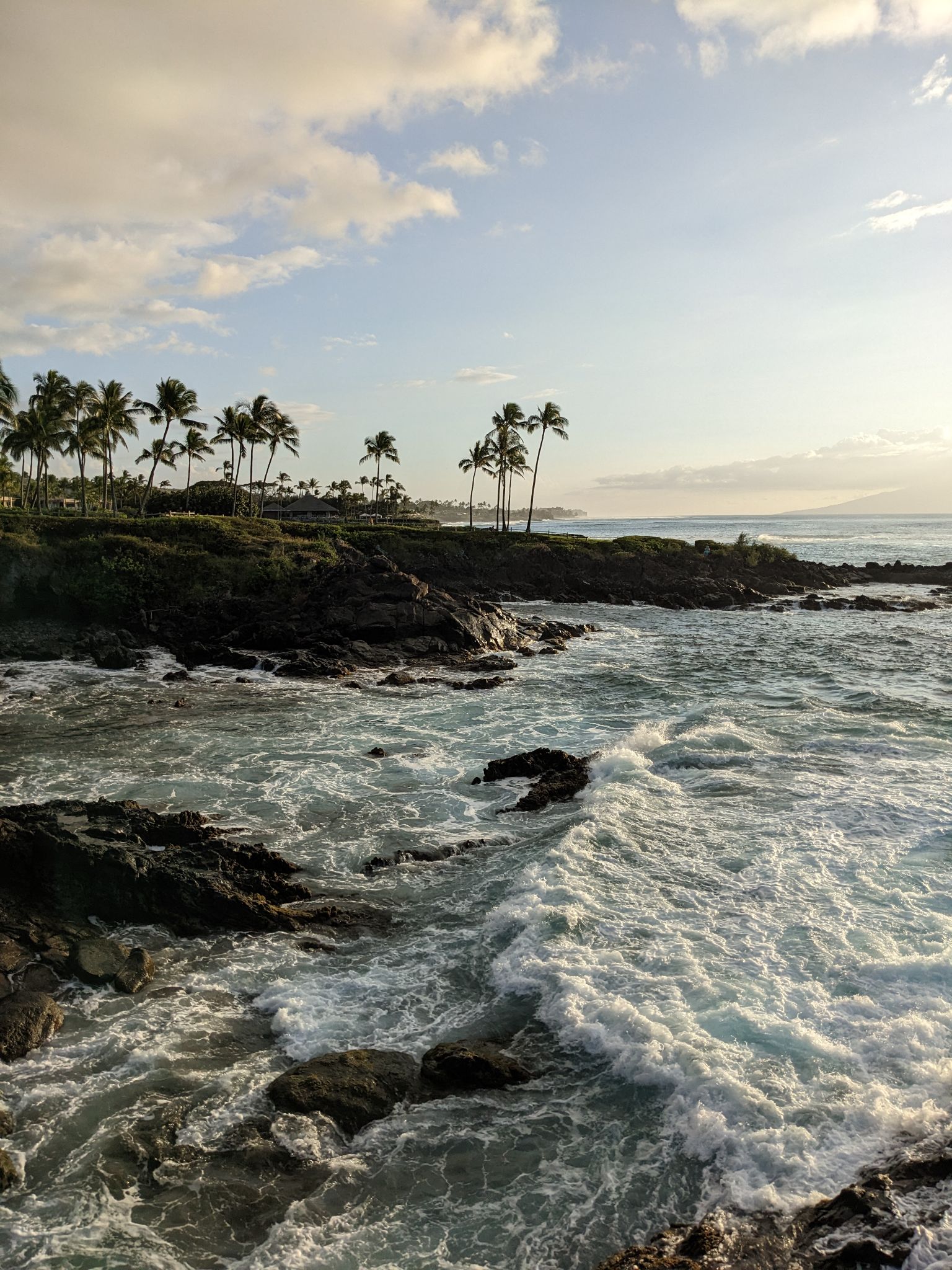 PXL 20230124 033242125