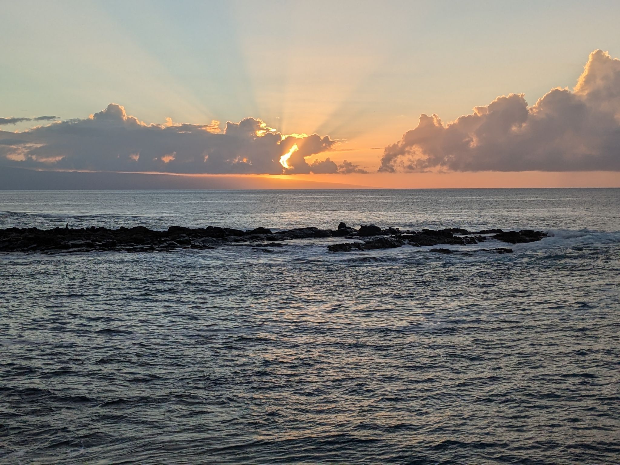 PXL 20230124 040421643