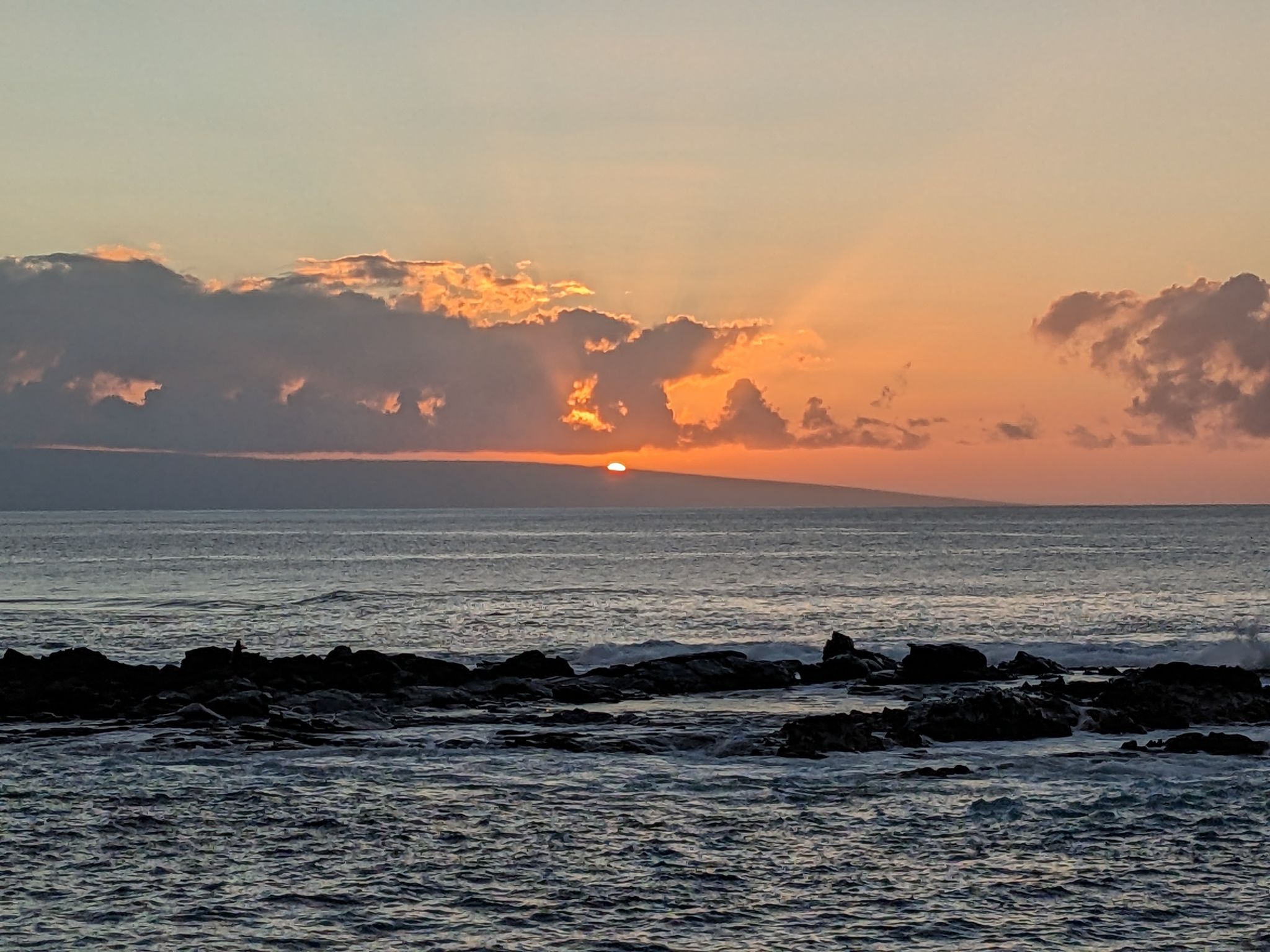 PXL 20230124 040801467