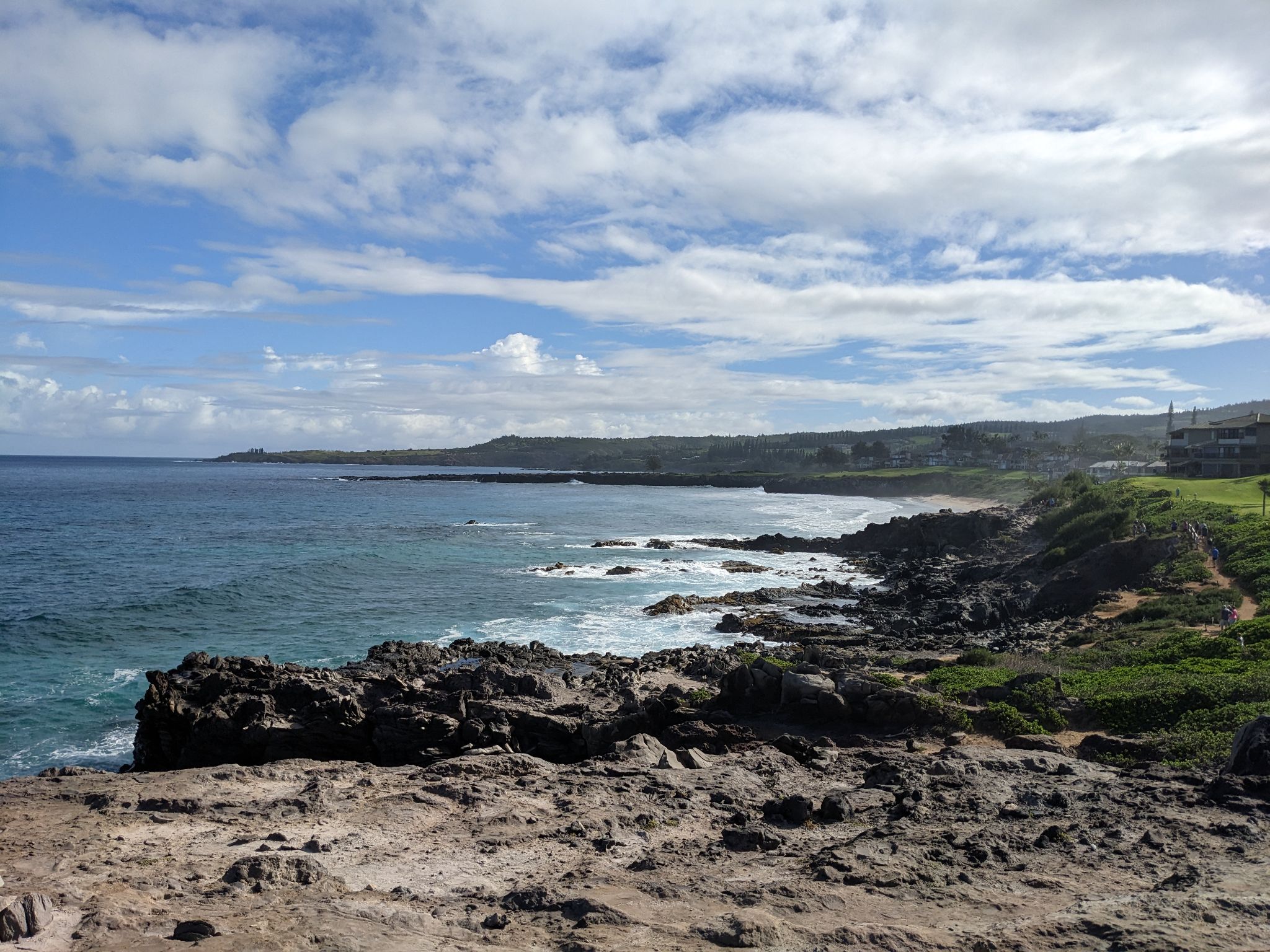 PXL 20230124 200348013