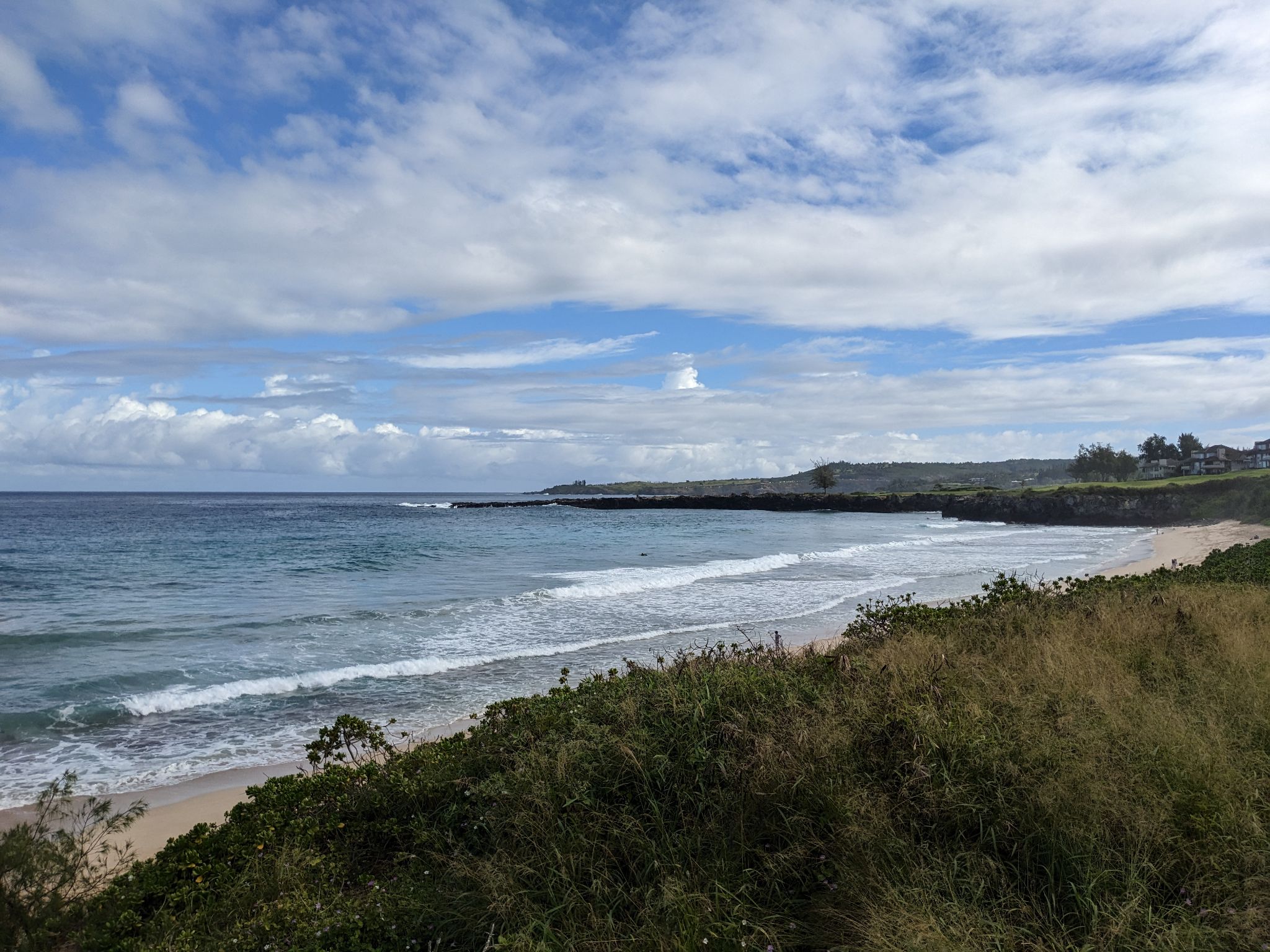 PXL 20230124 201012850