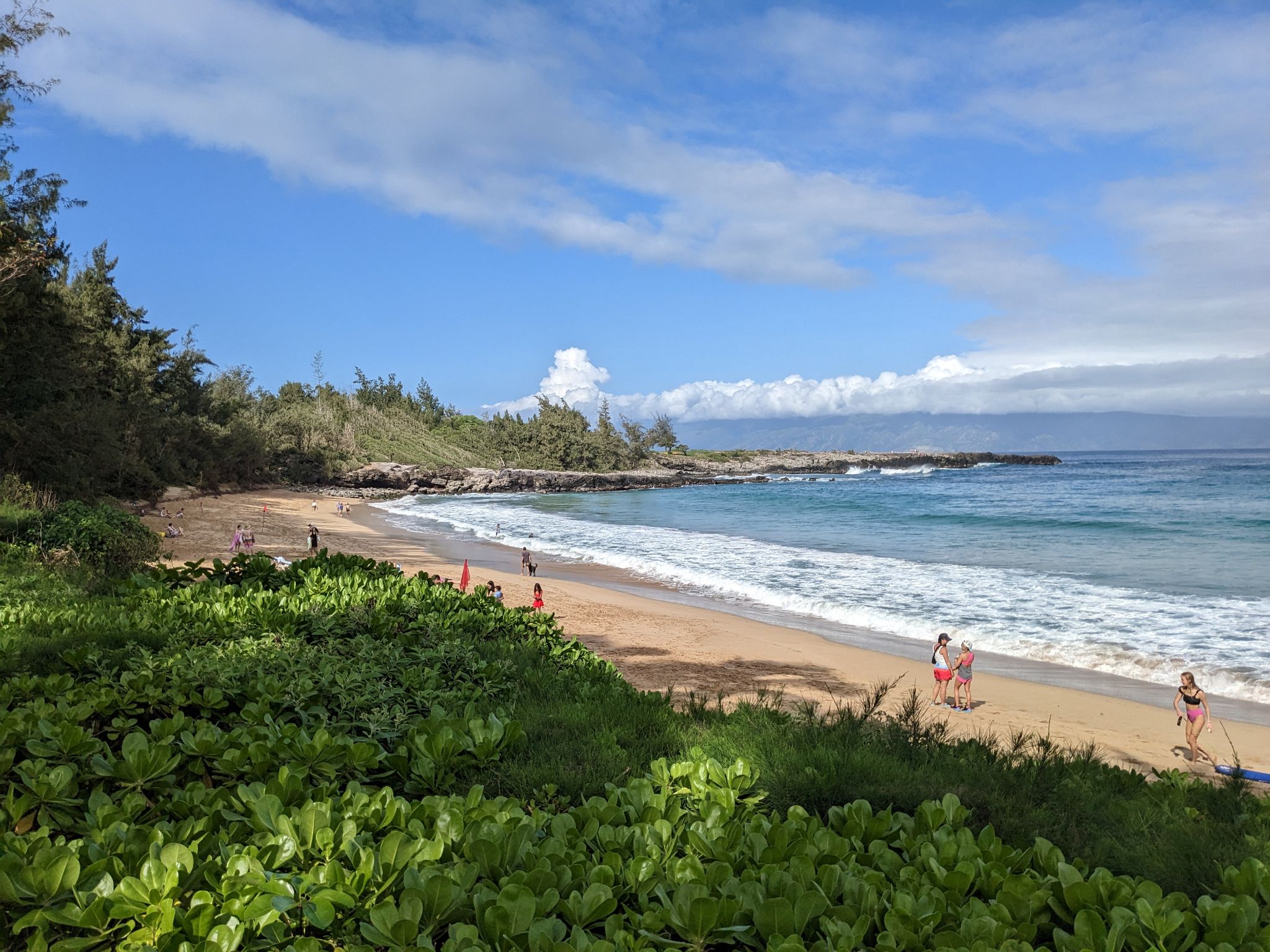 PXL 20230124 202440786