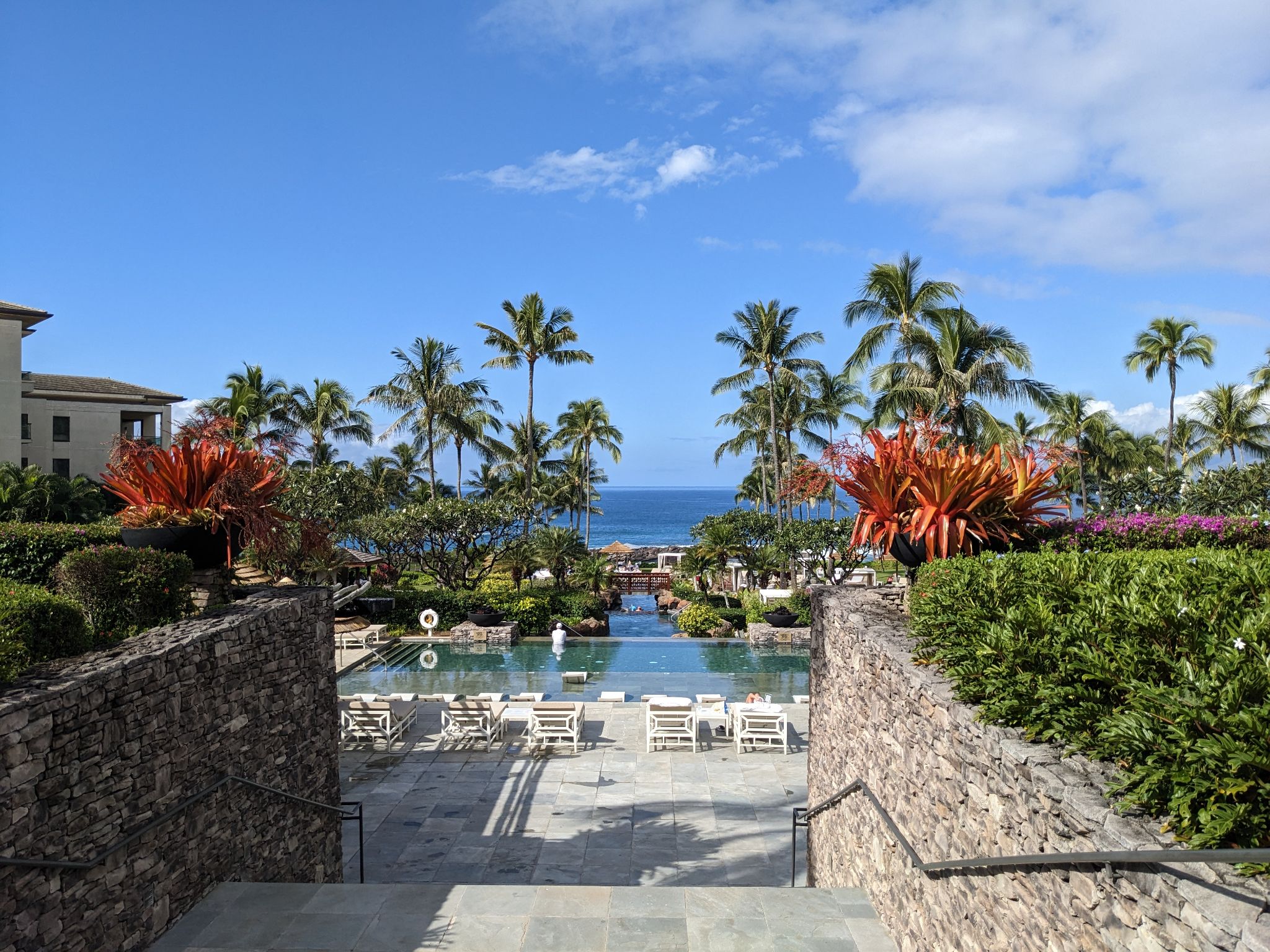 PXL 20230124 204339584