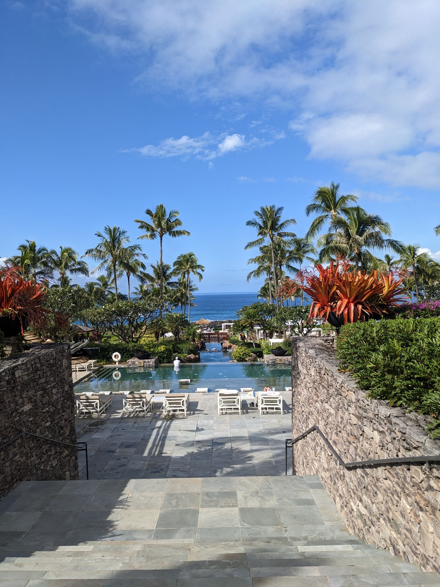 PXL 20230124 204344925