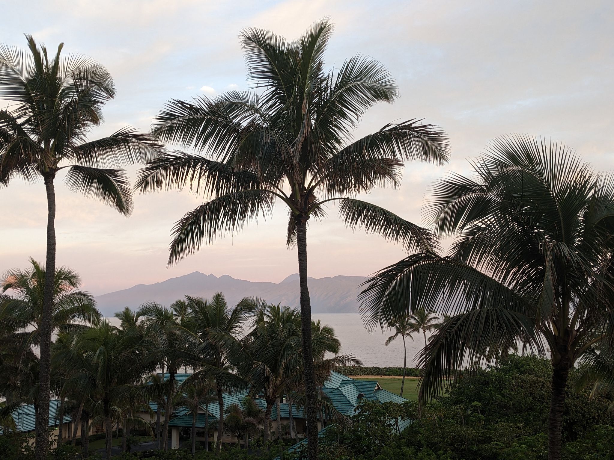 PXL 20230125 170958742