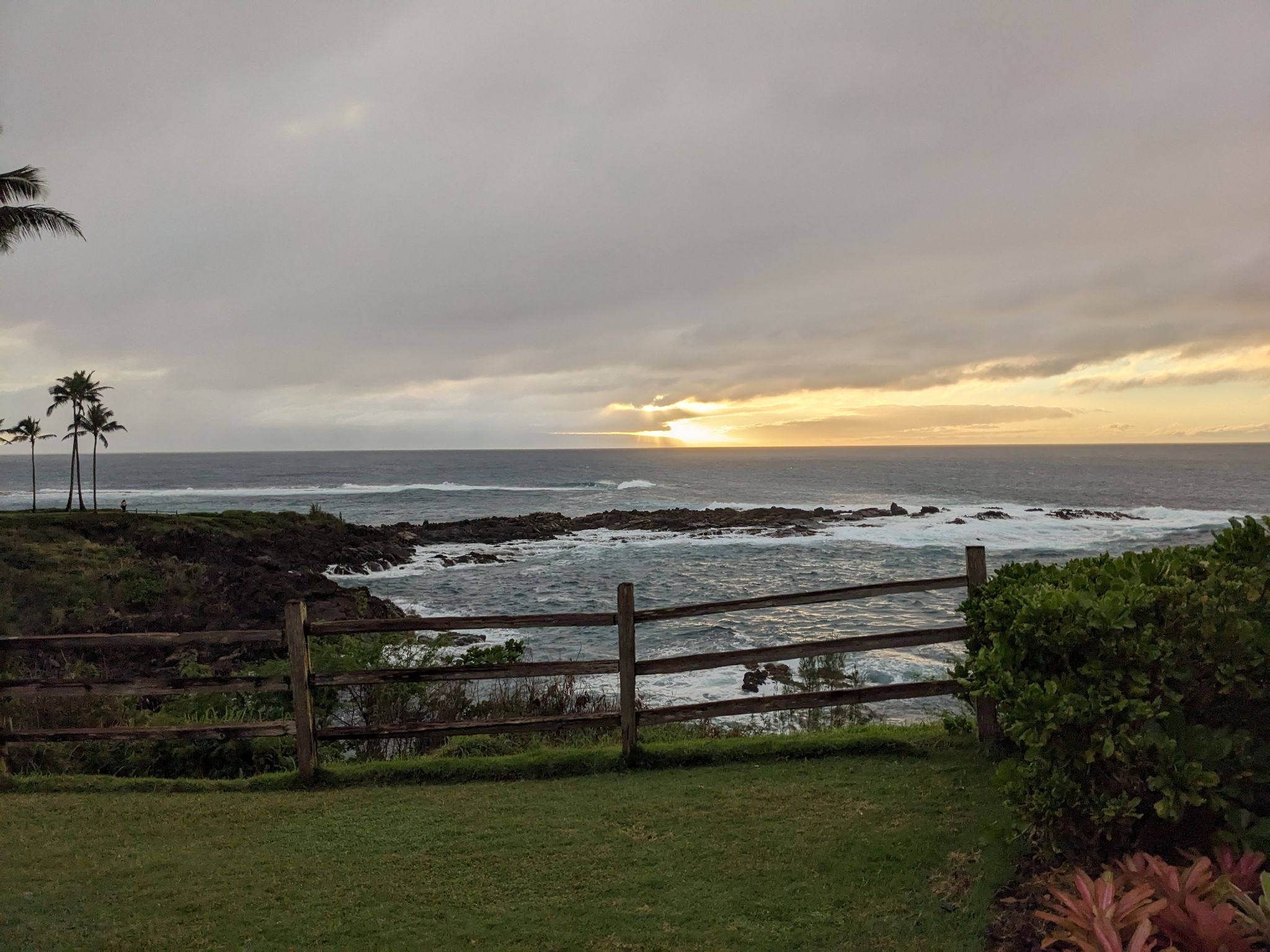 PXL 20230128 035751331