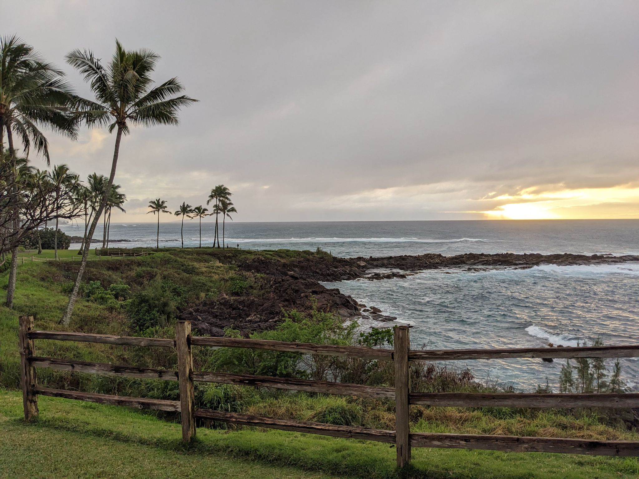 PXL 20230128 035844856