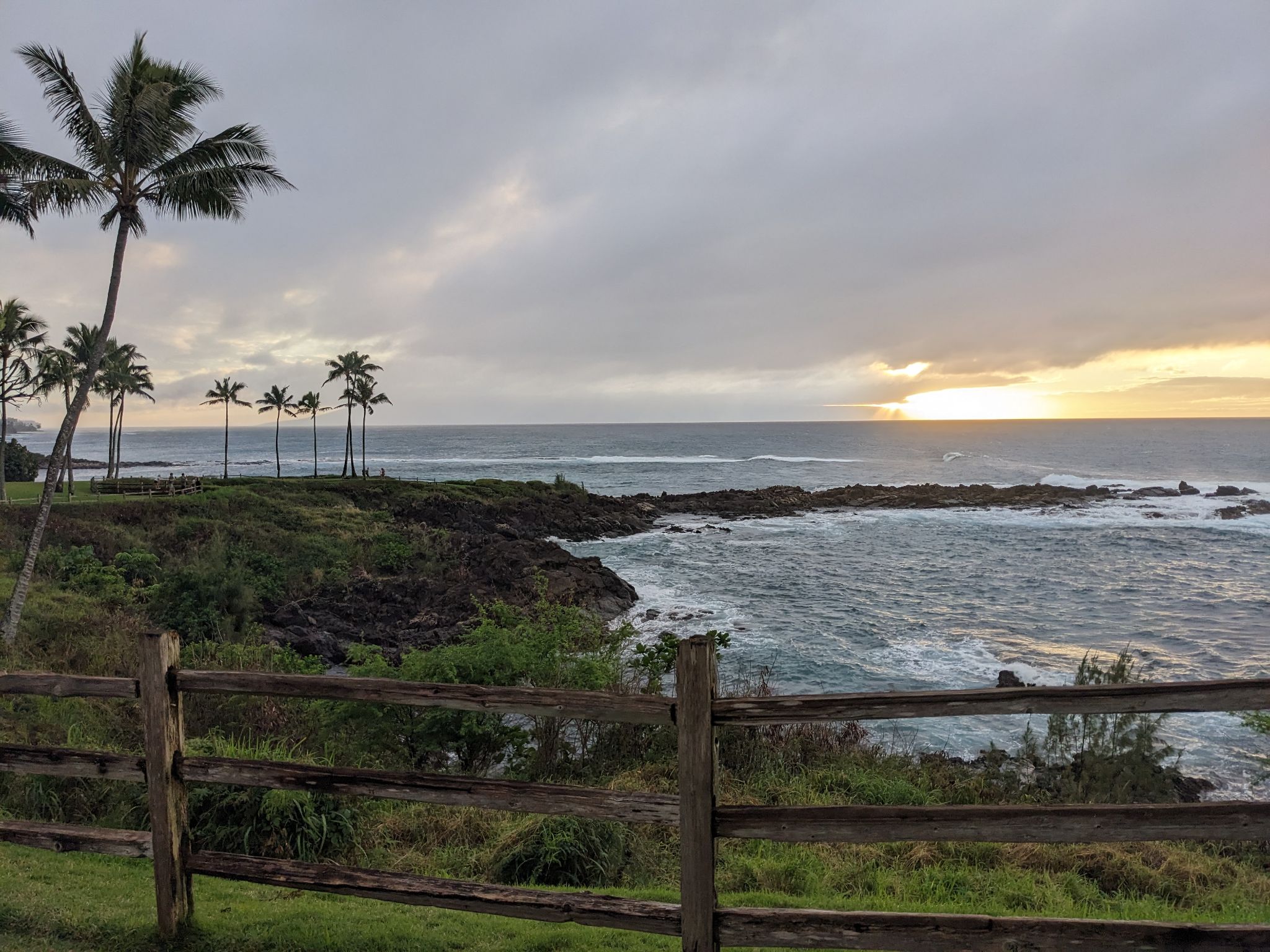 PXL 20230128 040235499