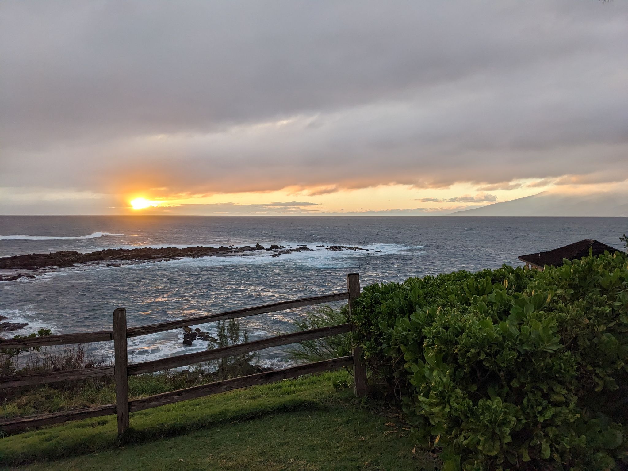 PXL 20230128 040845964