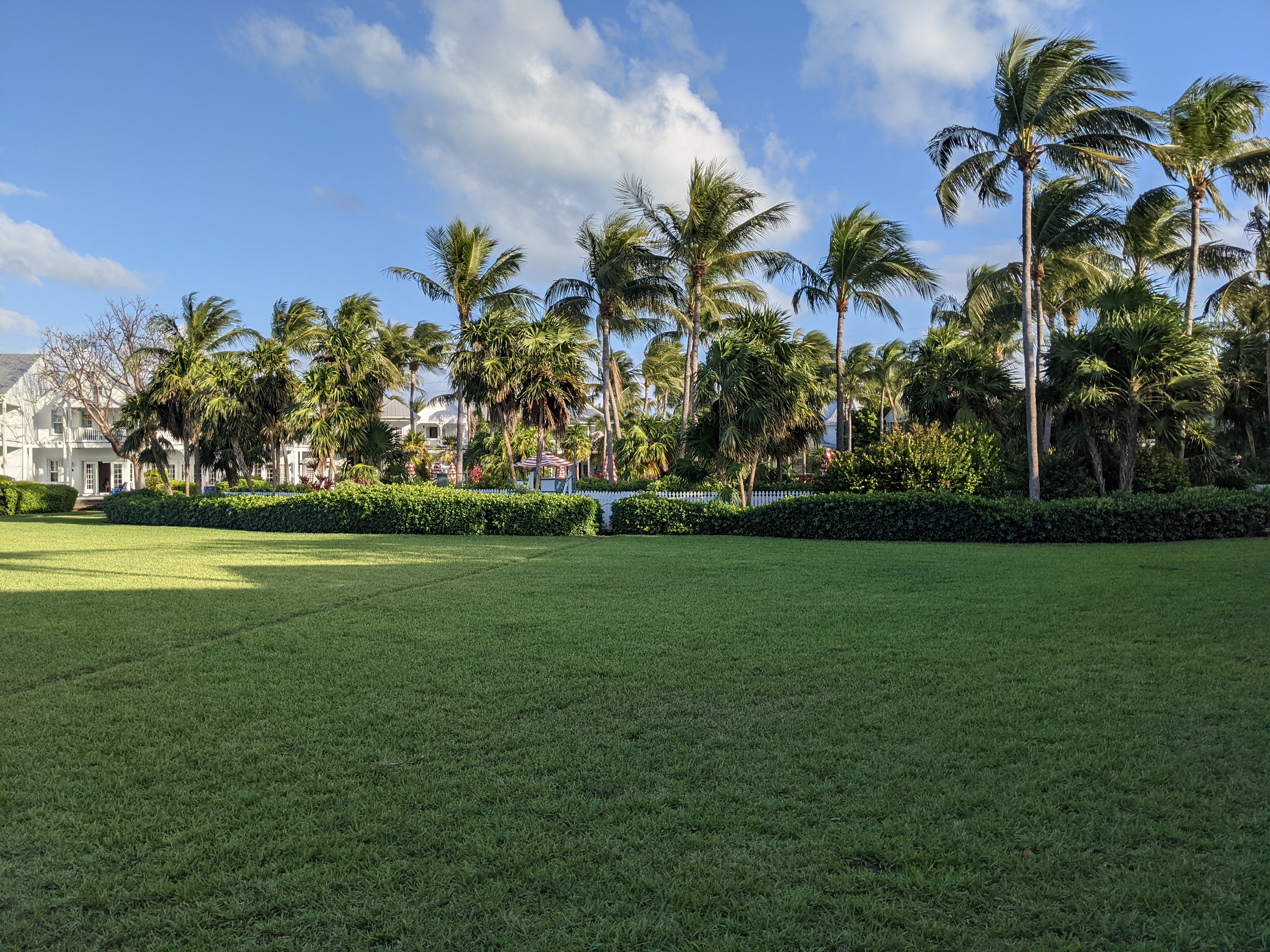 PXL 20210309 221339532