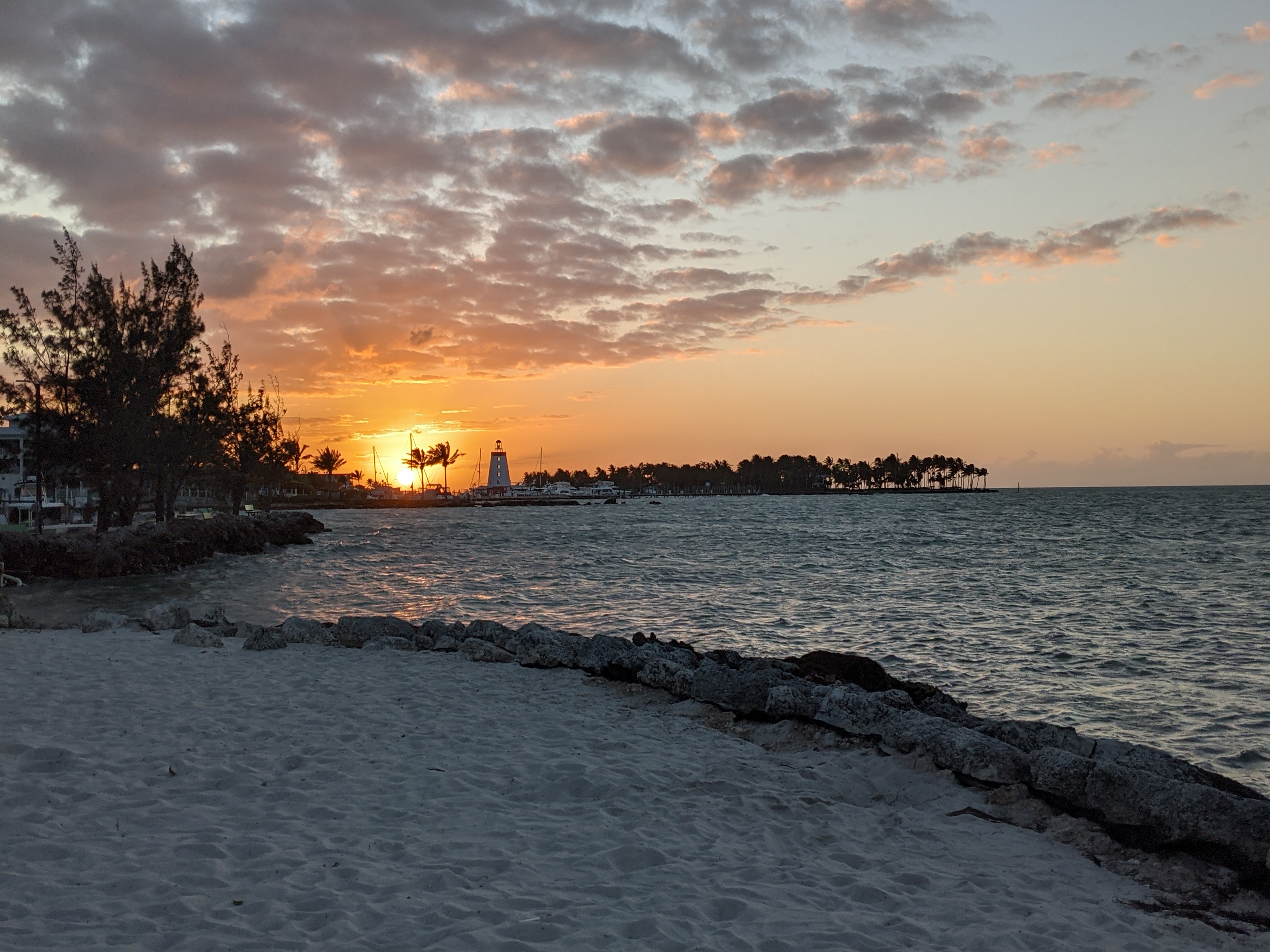 PXL 20210309 232615315