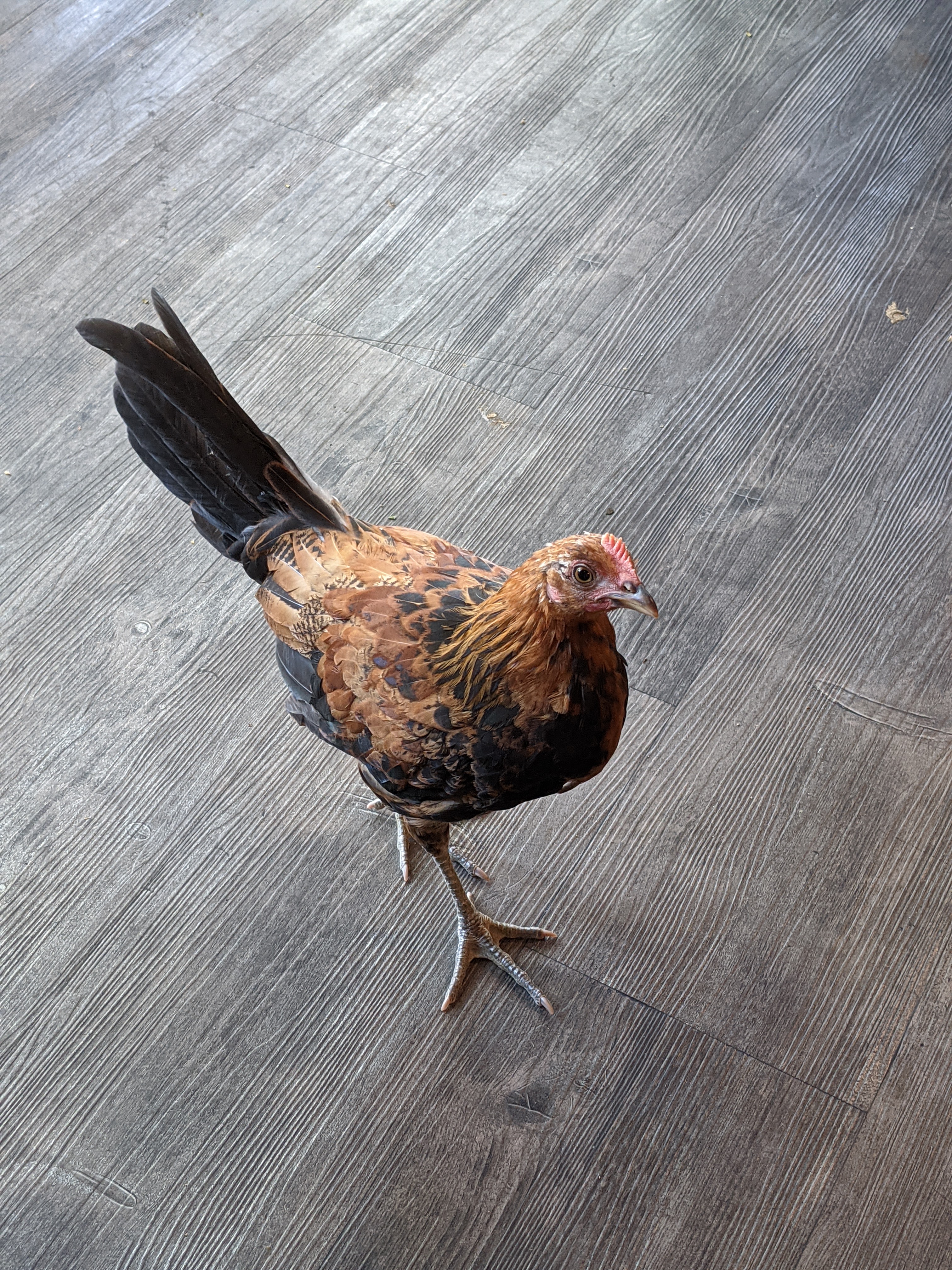 PXL 20210310 175419812