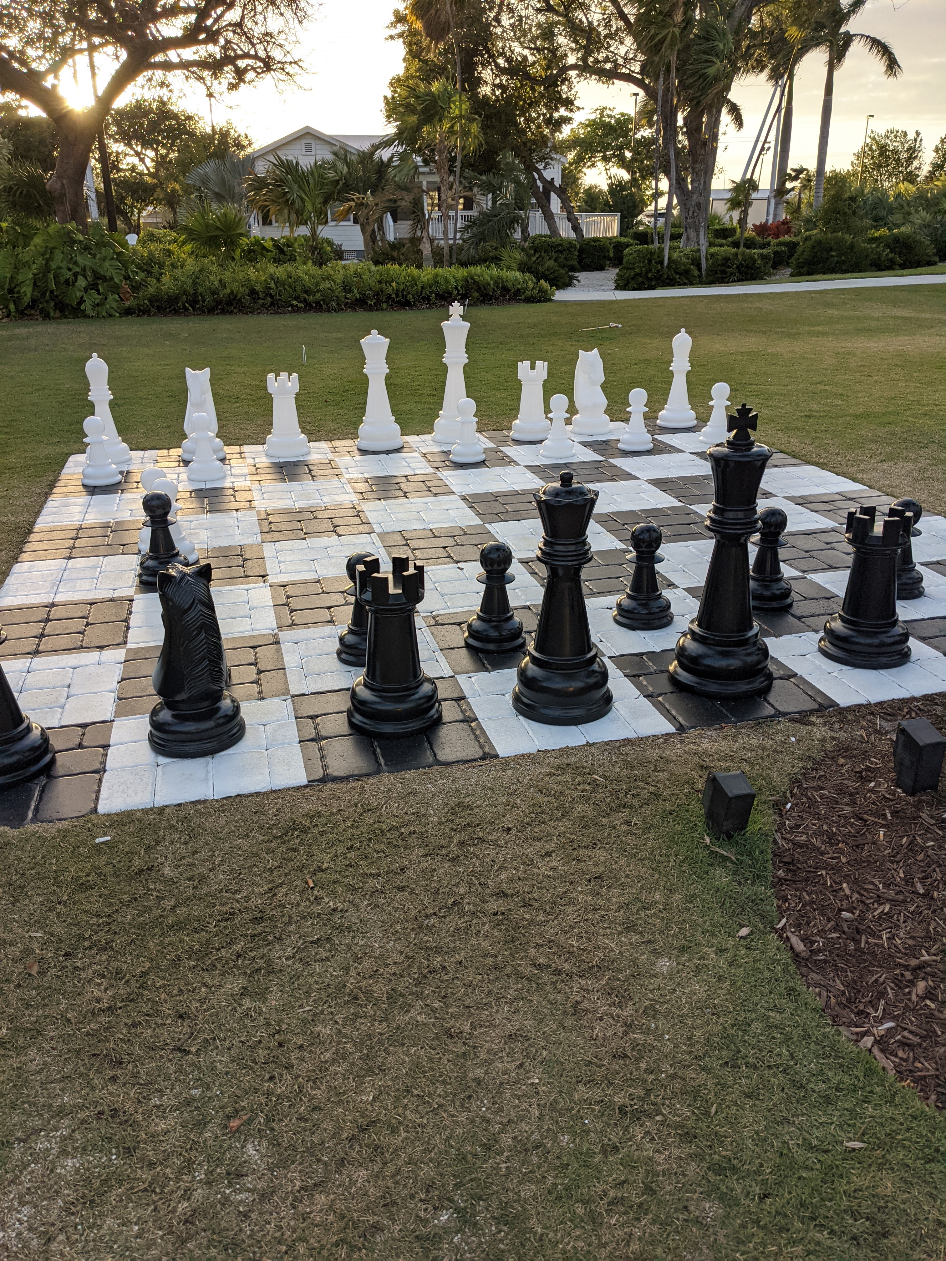 PXL 20210311 230537703