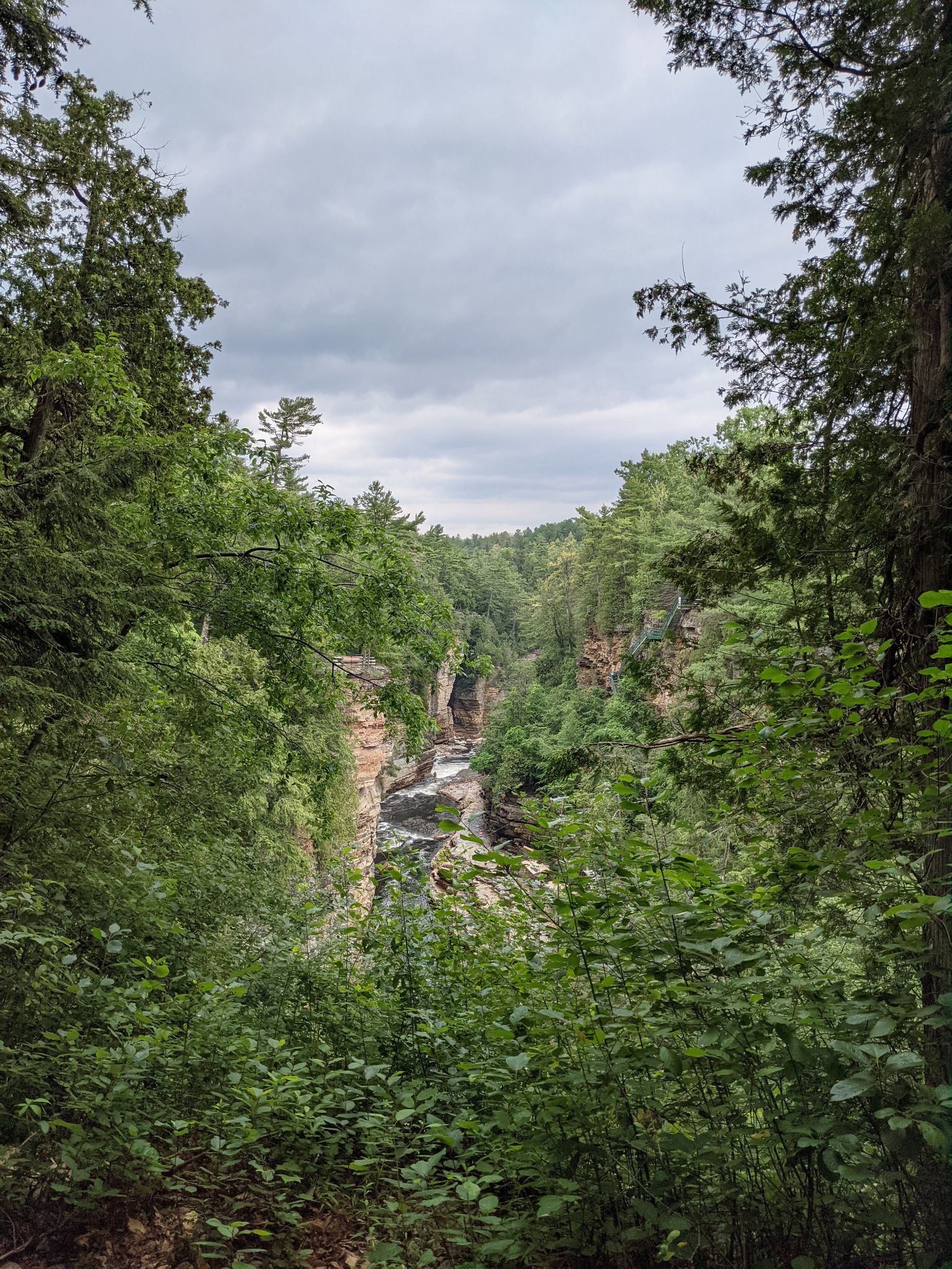 PXL 20210706 154149032