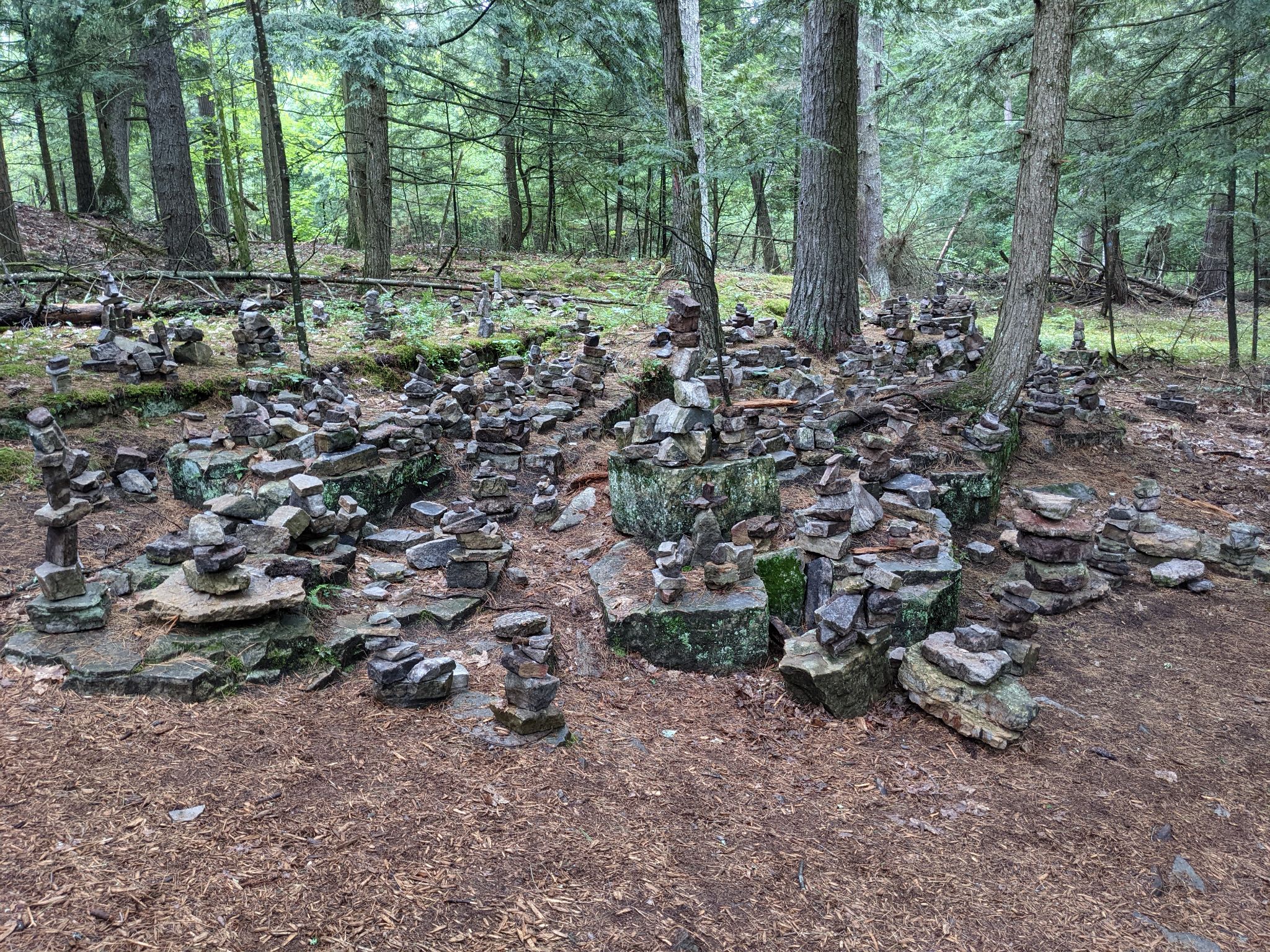 PXL 20210706 155006103