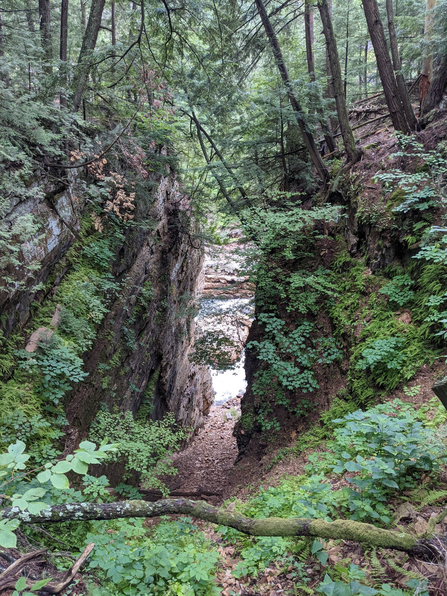 PXL 20210706 155121061