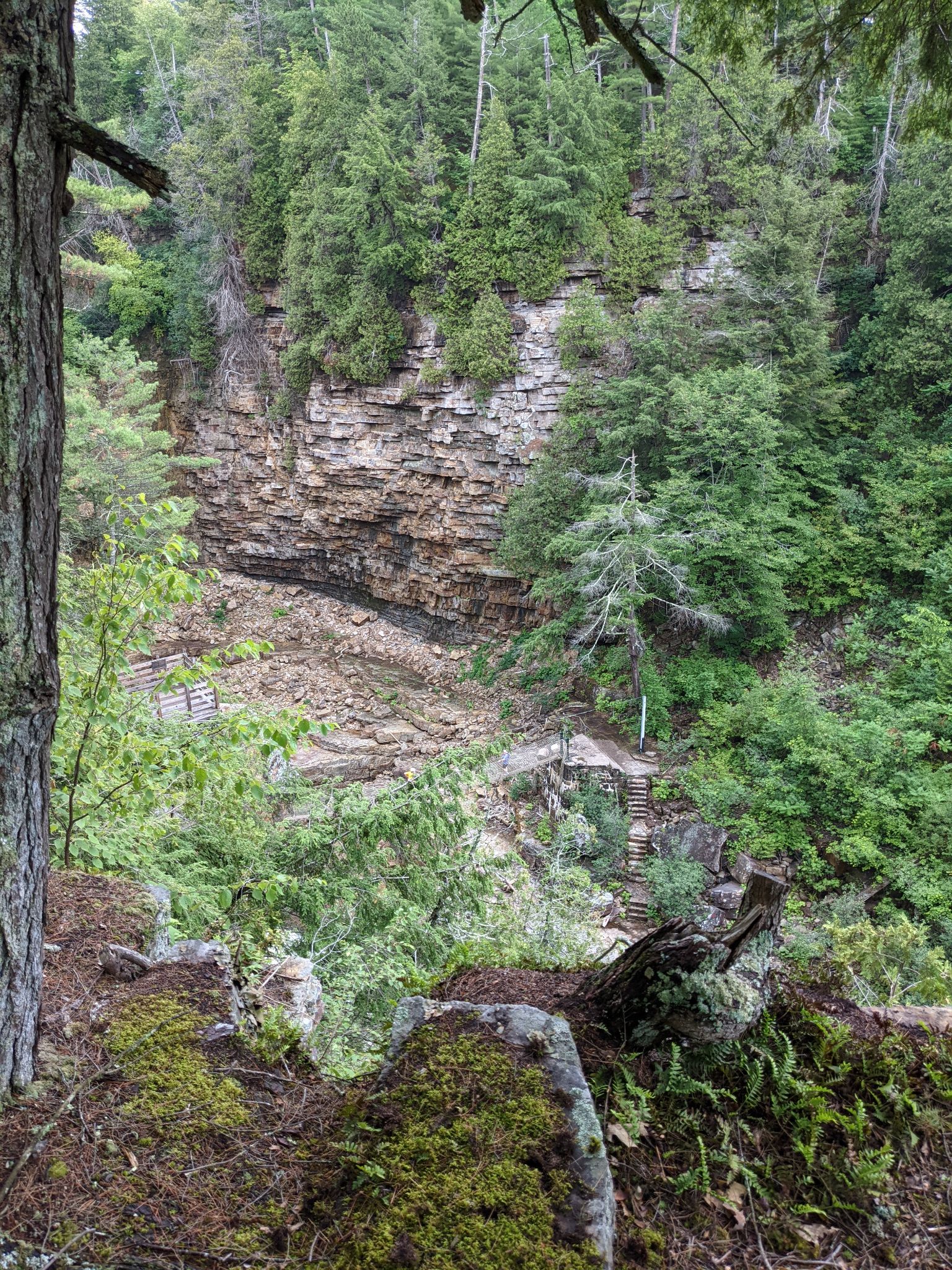 PXL 20210706 155340177