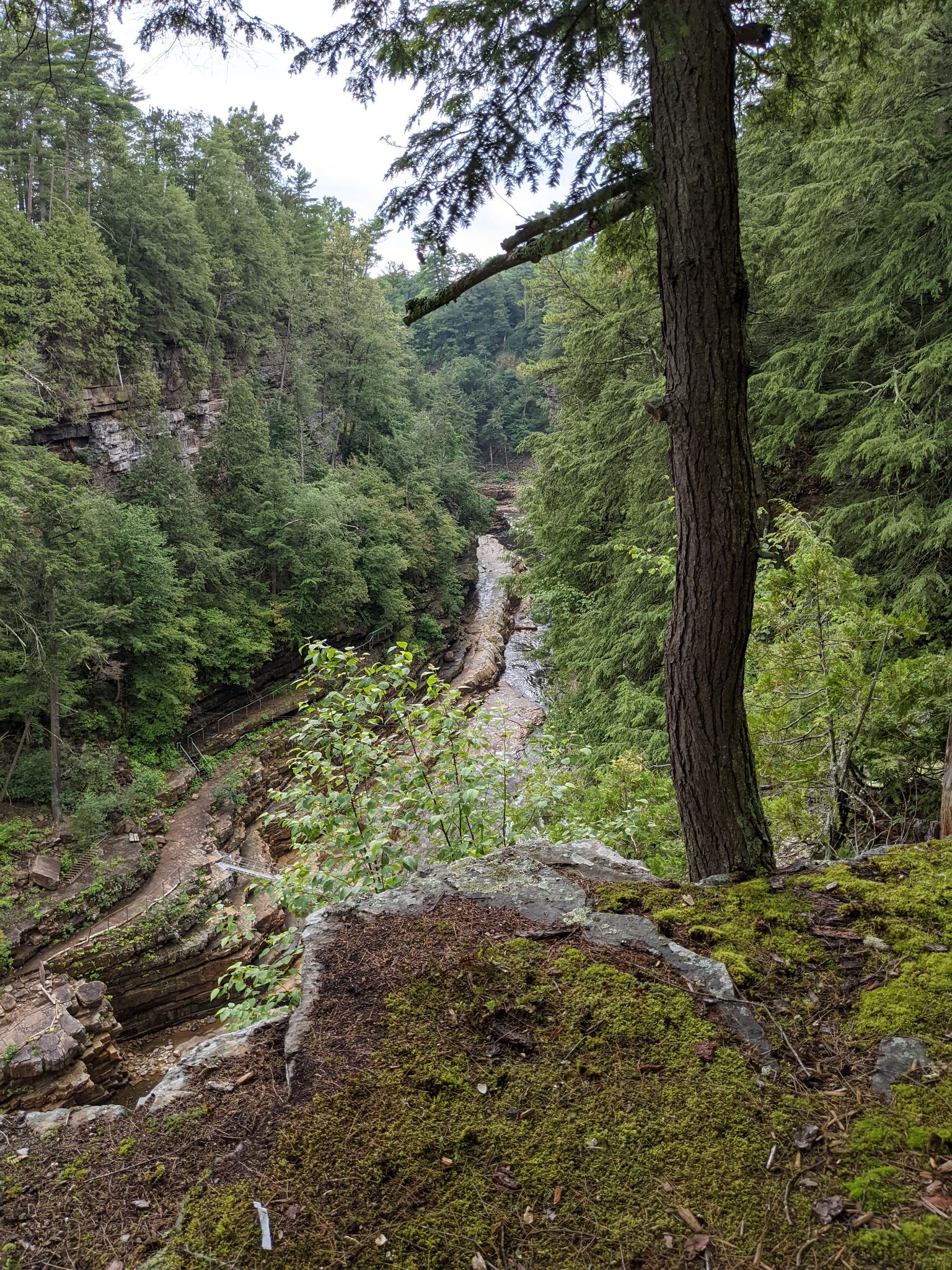 PXL 20210706 155354779