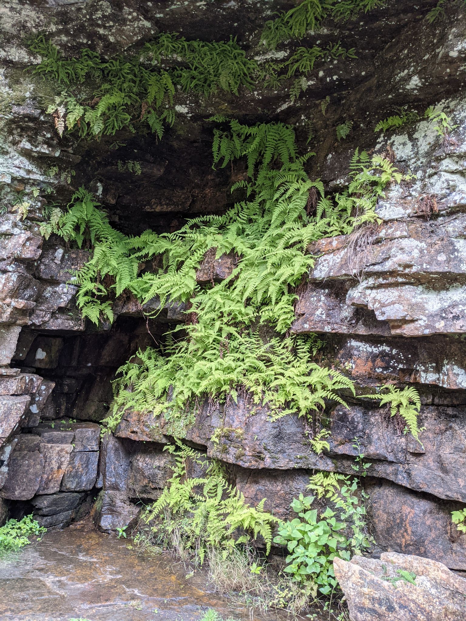 PXL 20210706 160109220