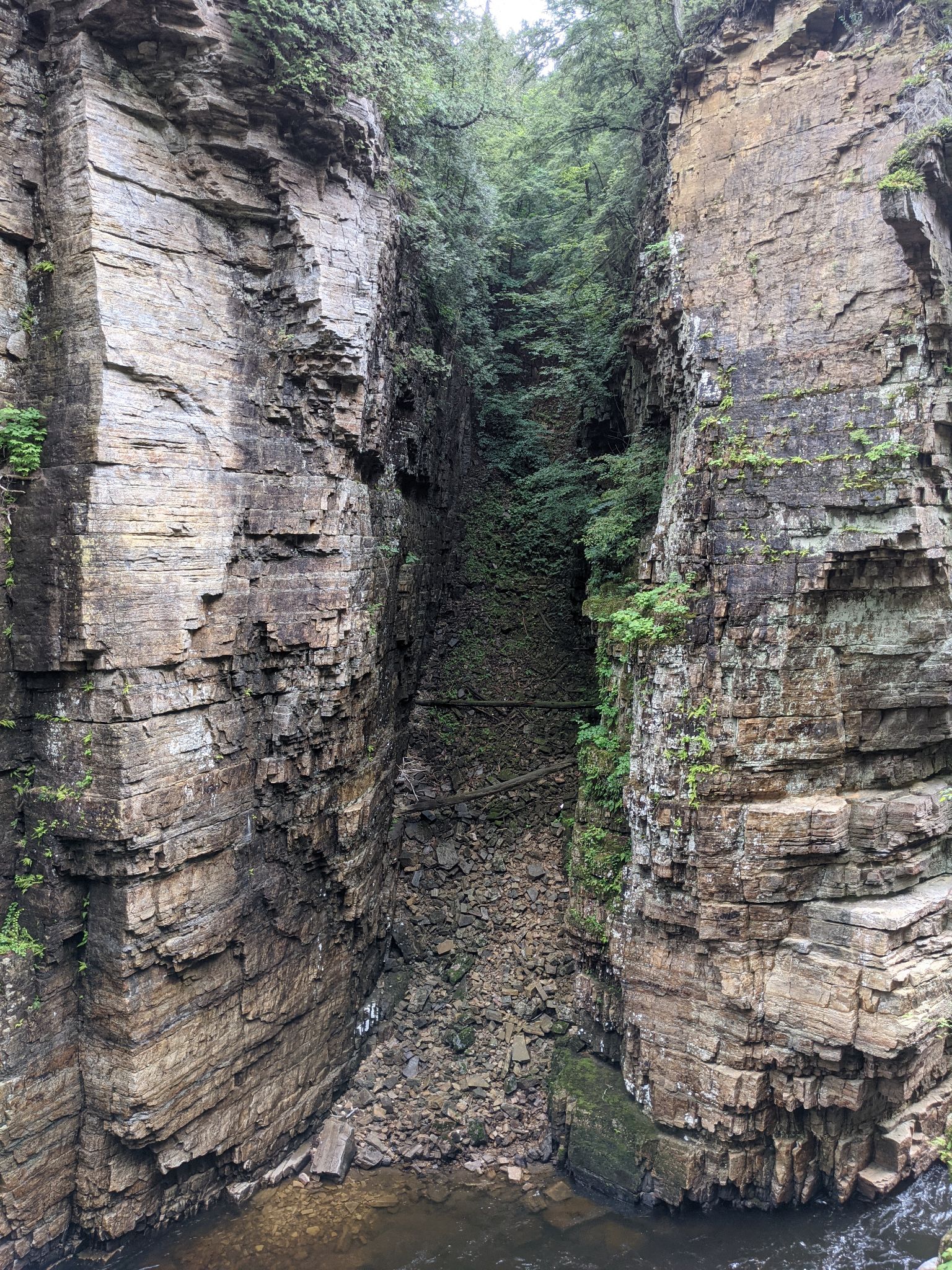 PXL 20210706 160412380