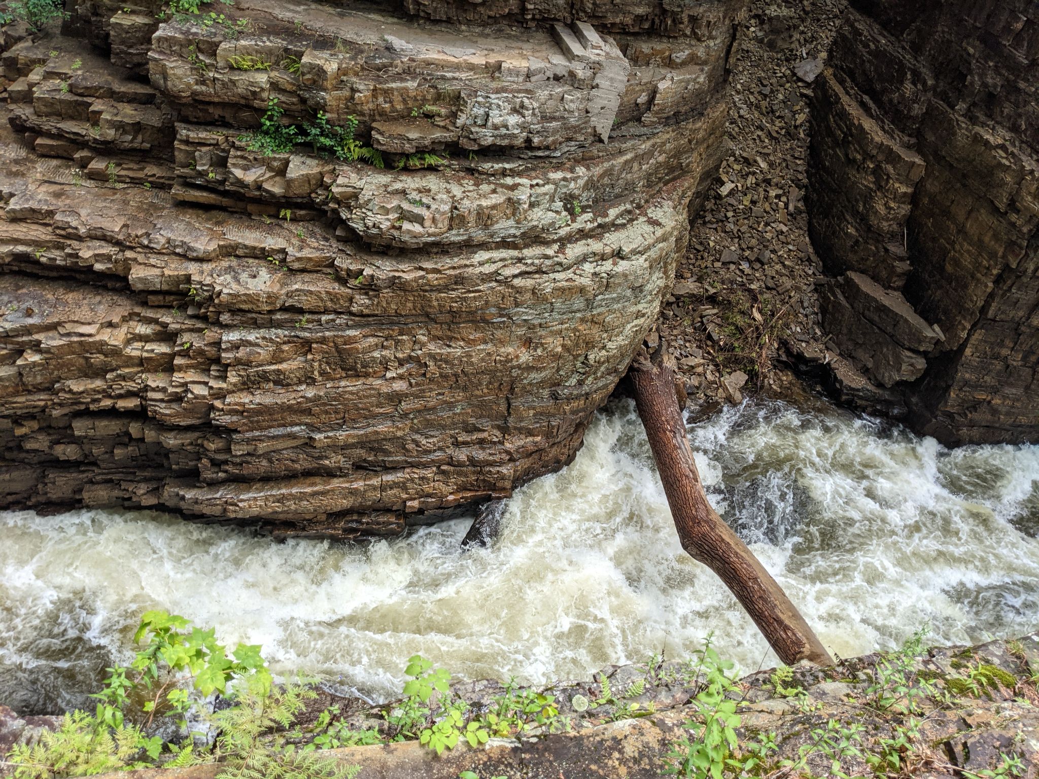 PXL 20210706 160856272.MP