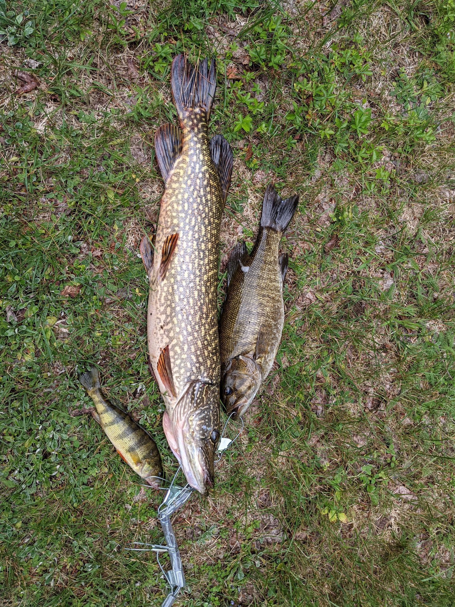 PXL 20210708 184801836