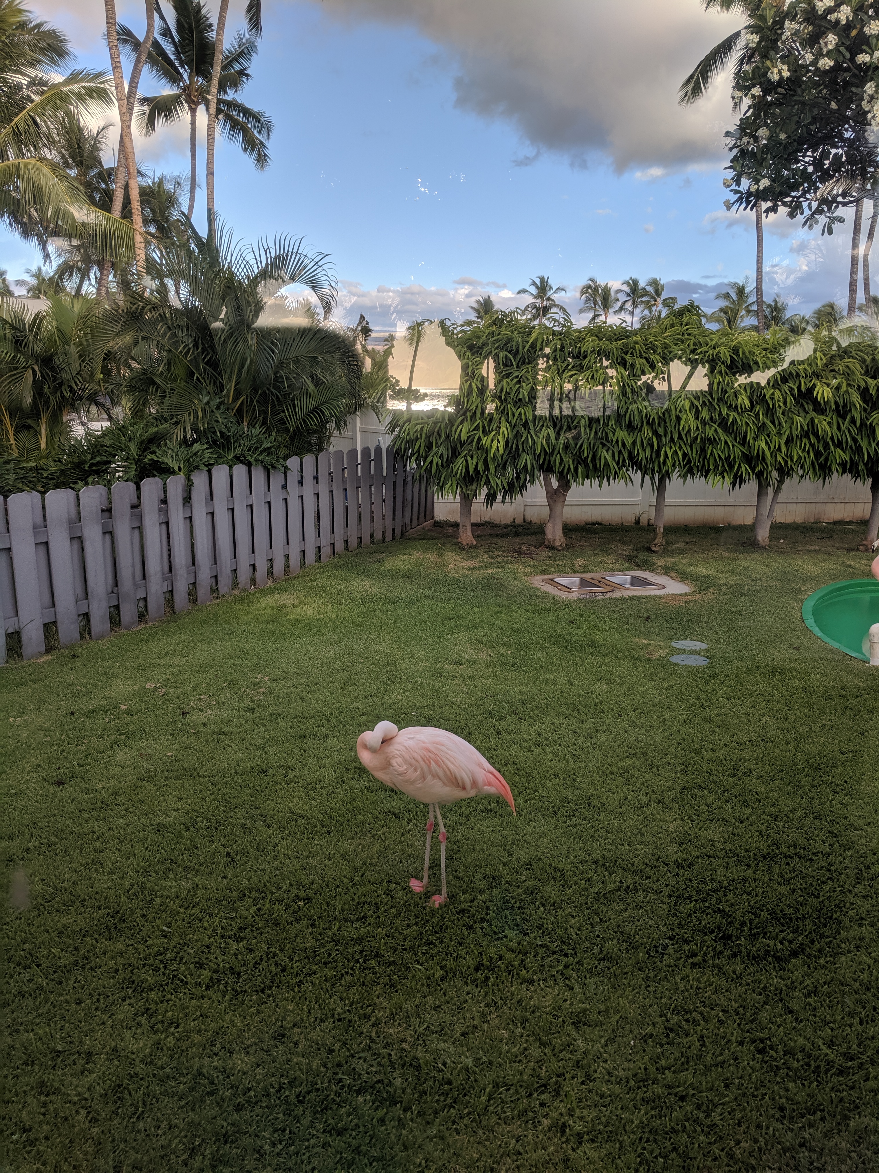 IMG 20190615 180547