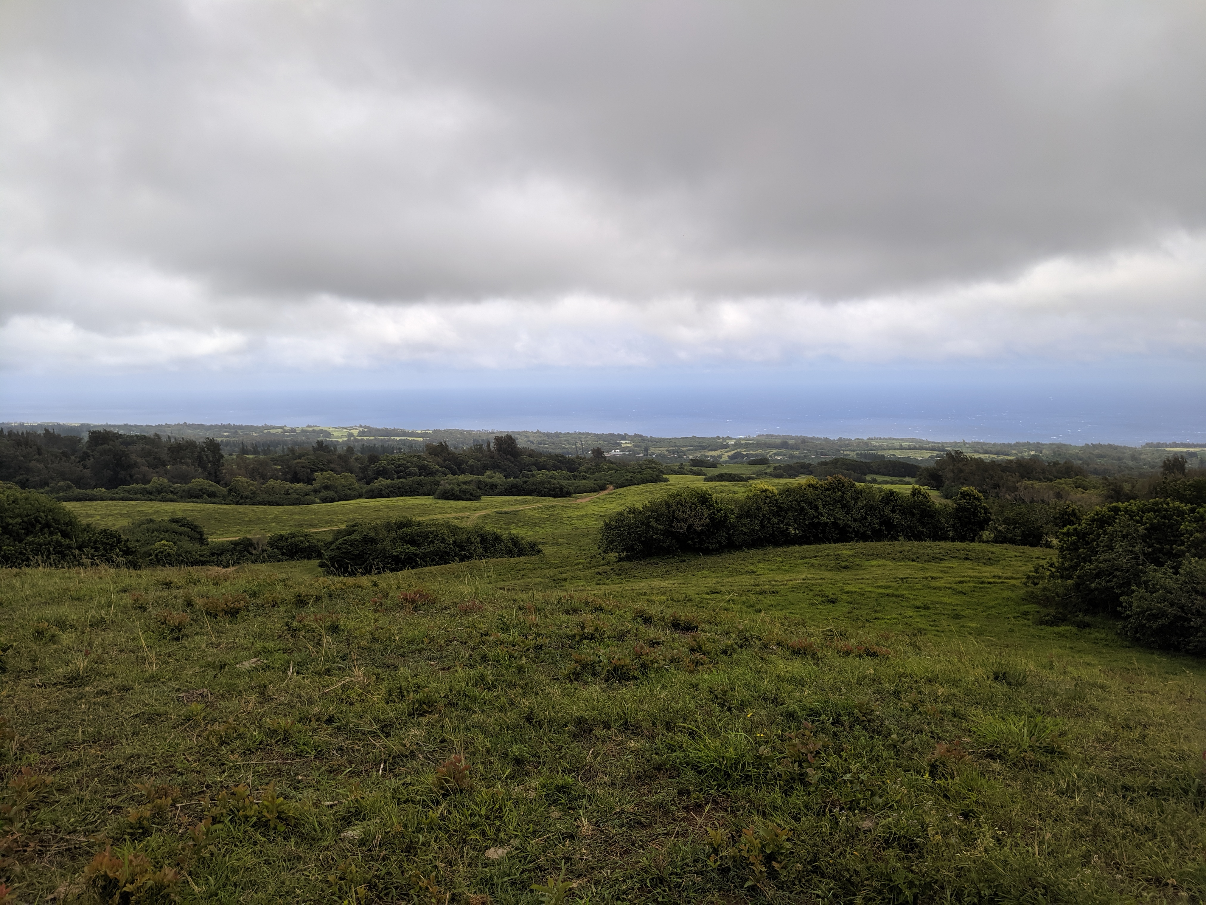 IMG 20190617 133034