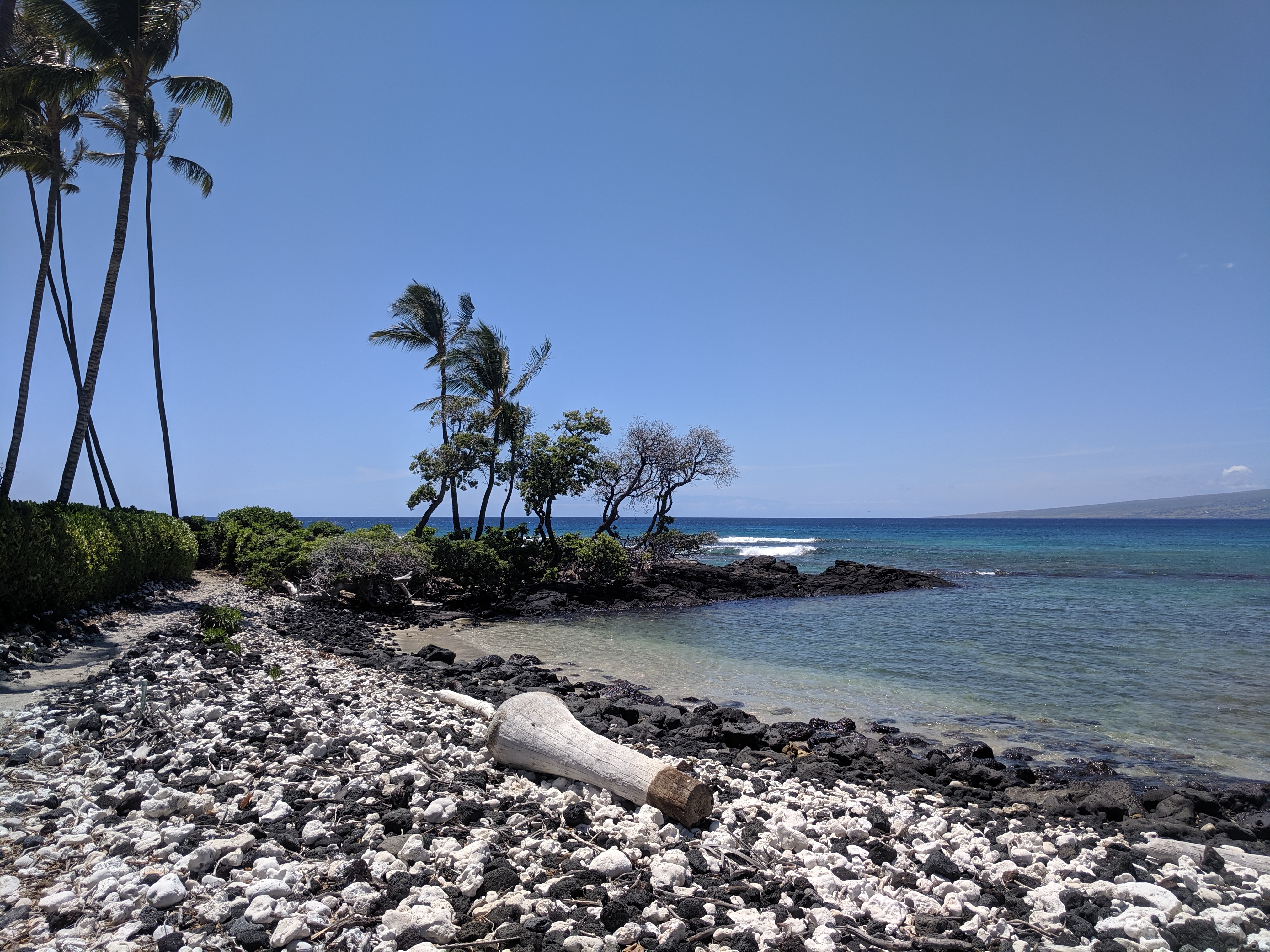 IMG 20190619 133452