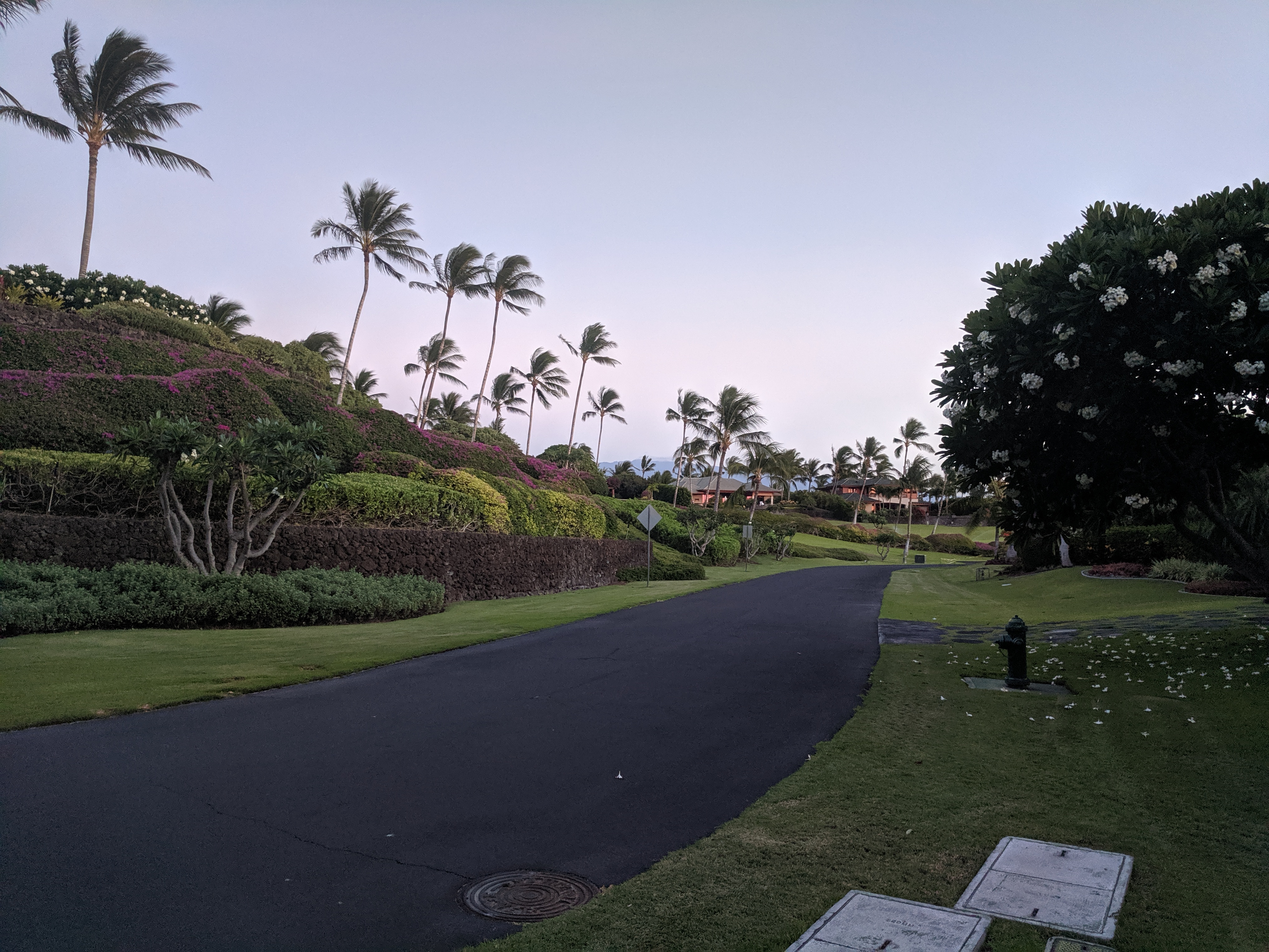 IMG 20190619 191535