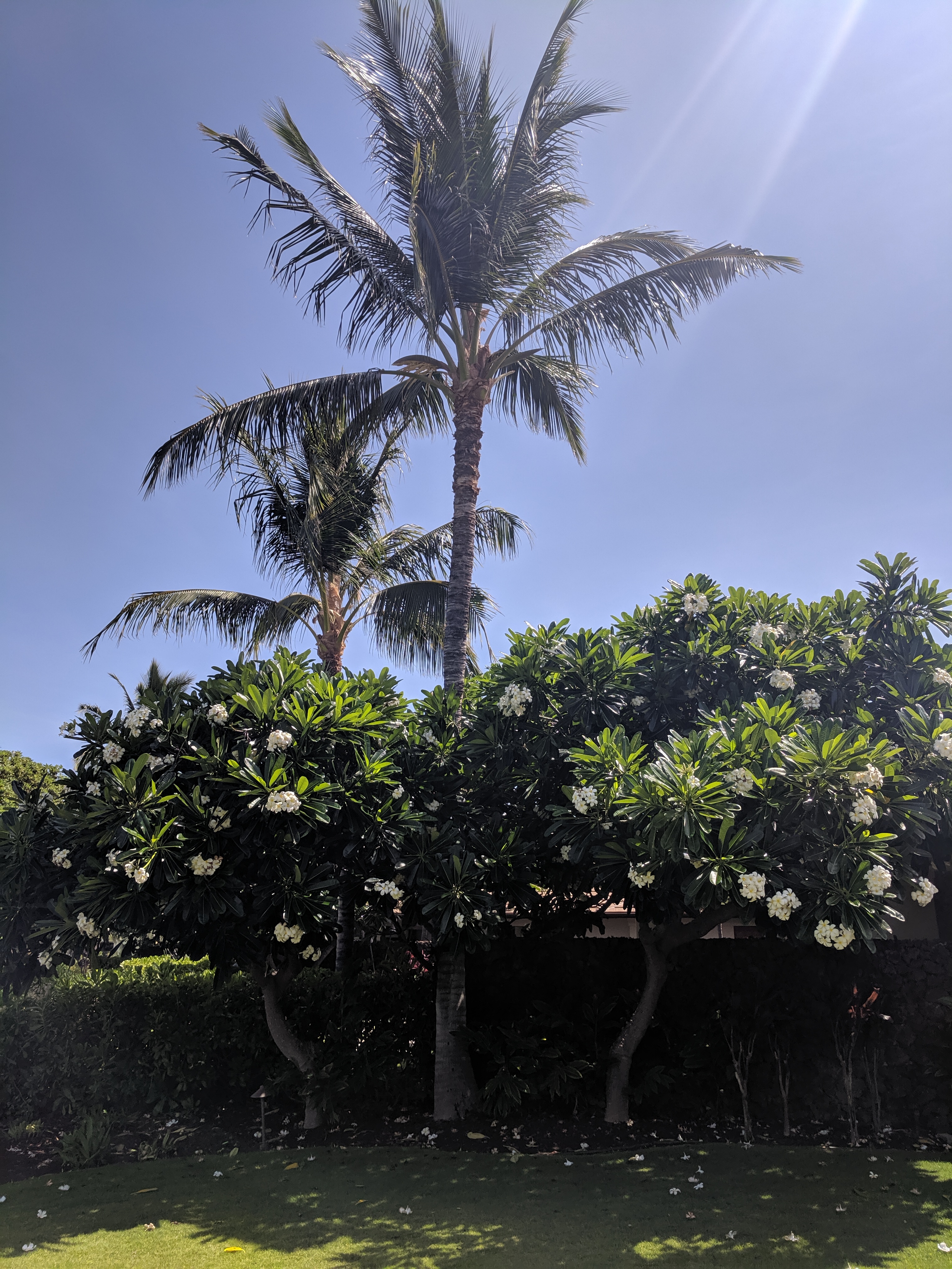 IMG 20190622 102626