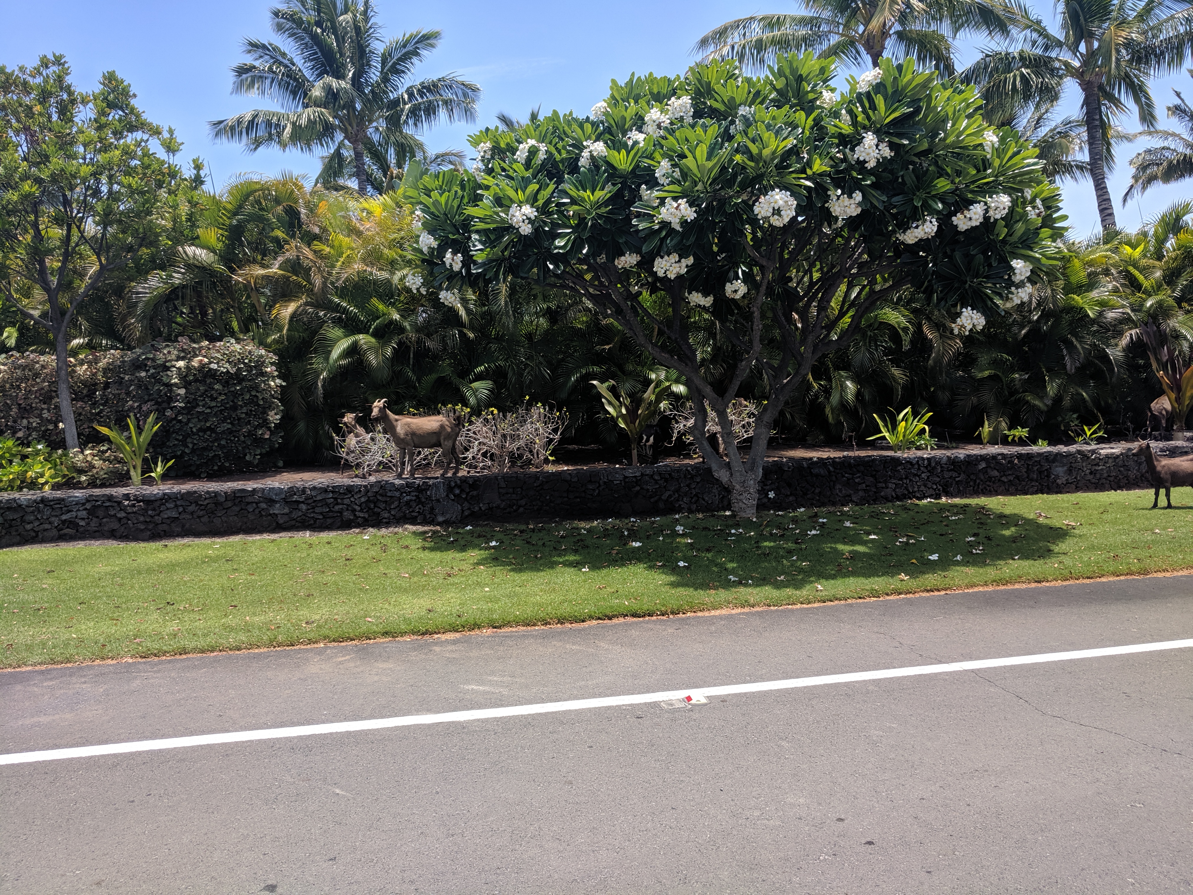 IMG 20190622 124133