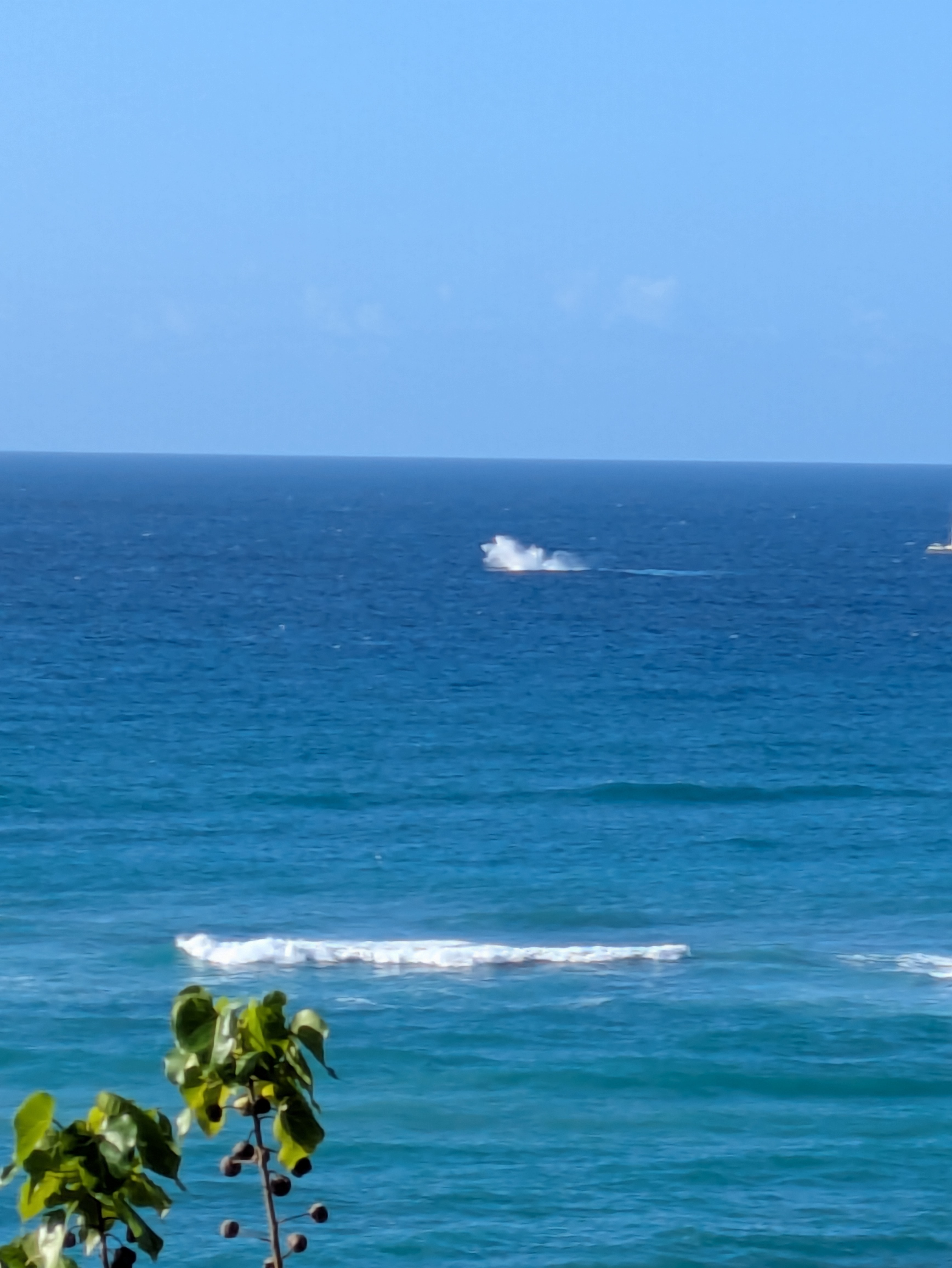 PXL 20250221 190552804