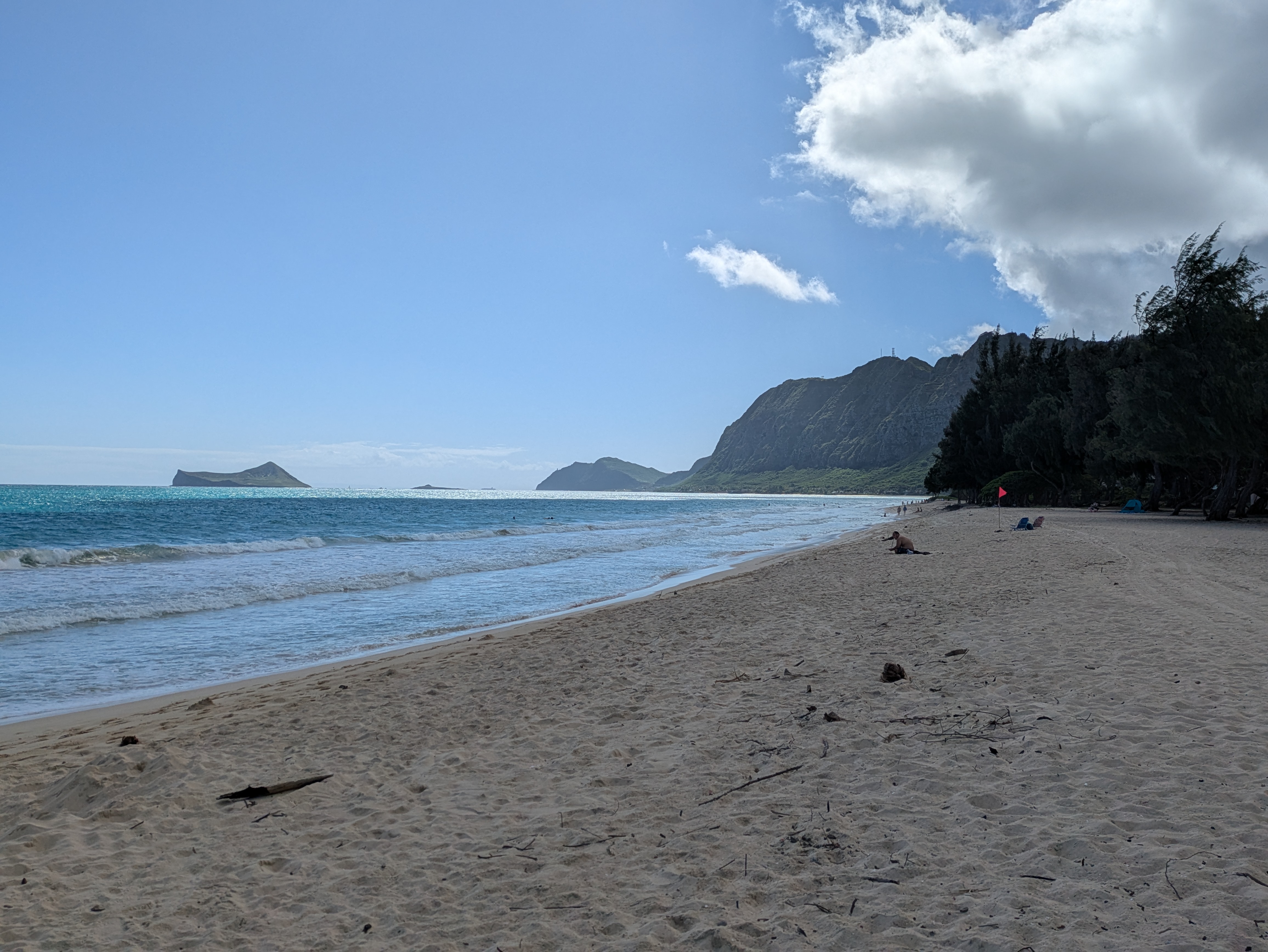 PXL 20250221 204706656