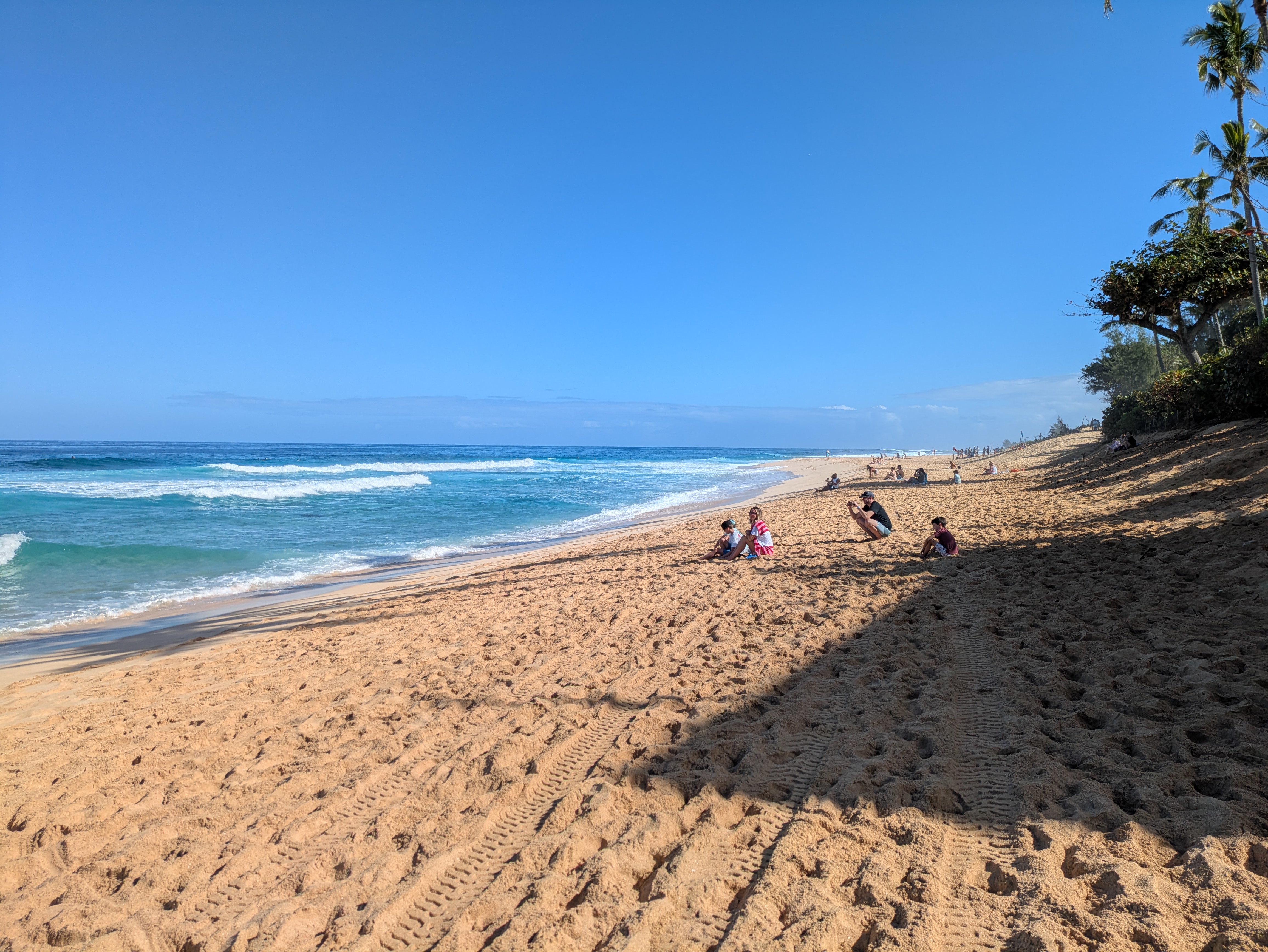 PXL 20250222 200102248