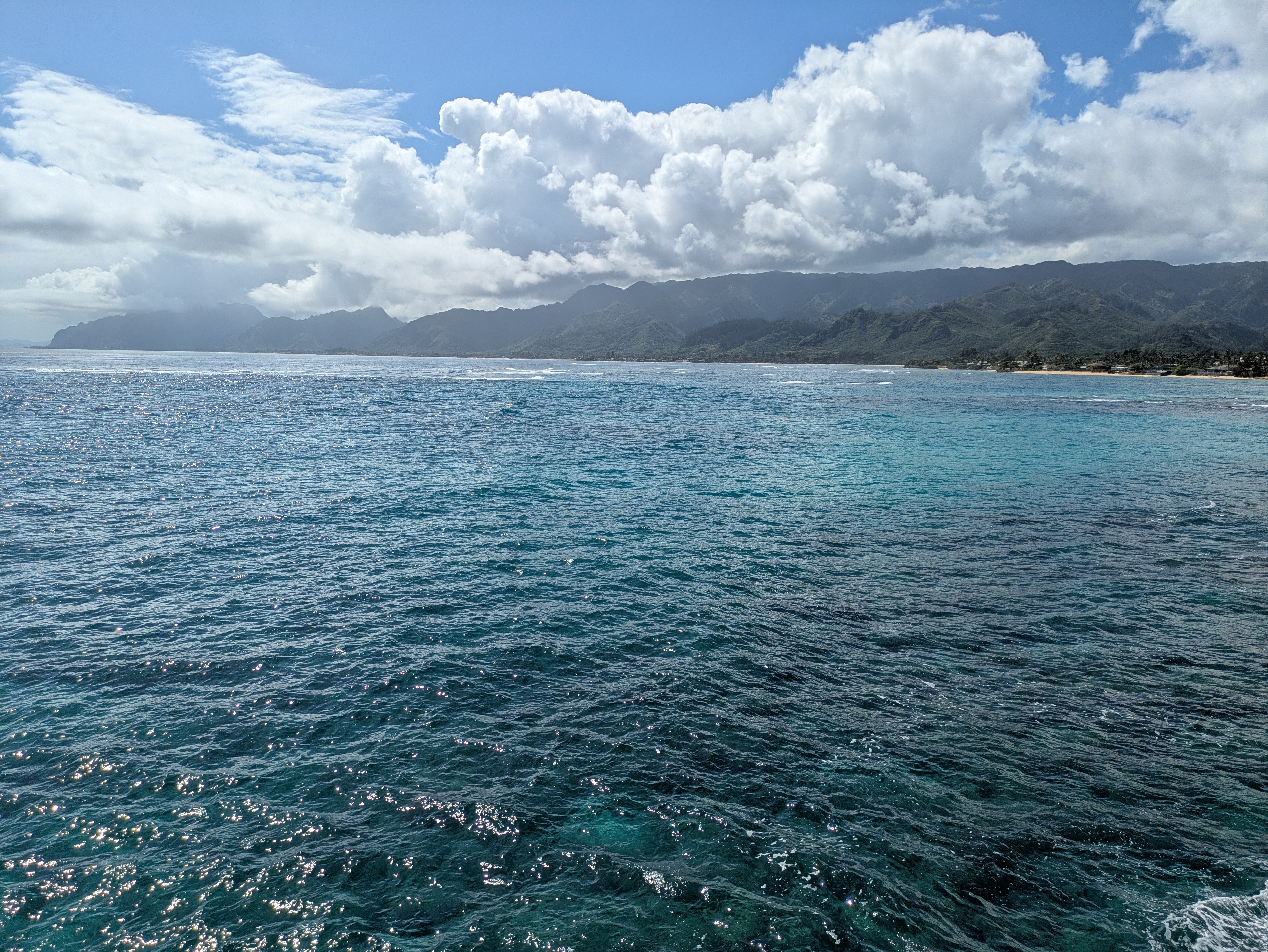 PXL 20250222 212229349