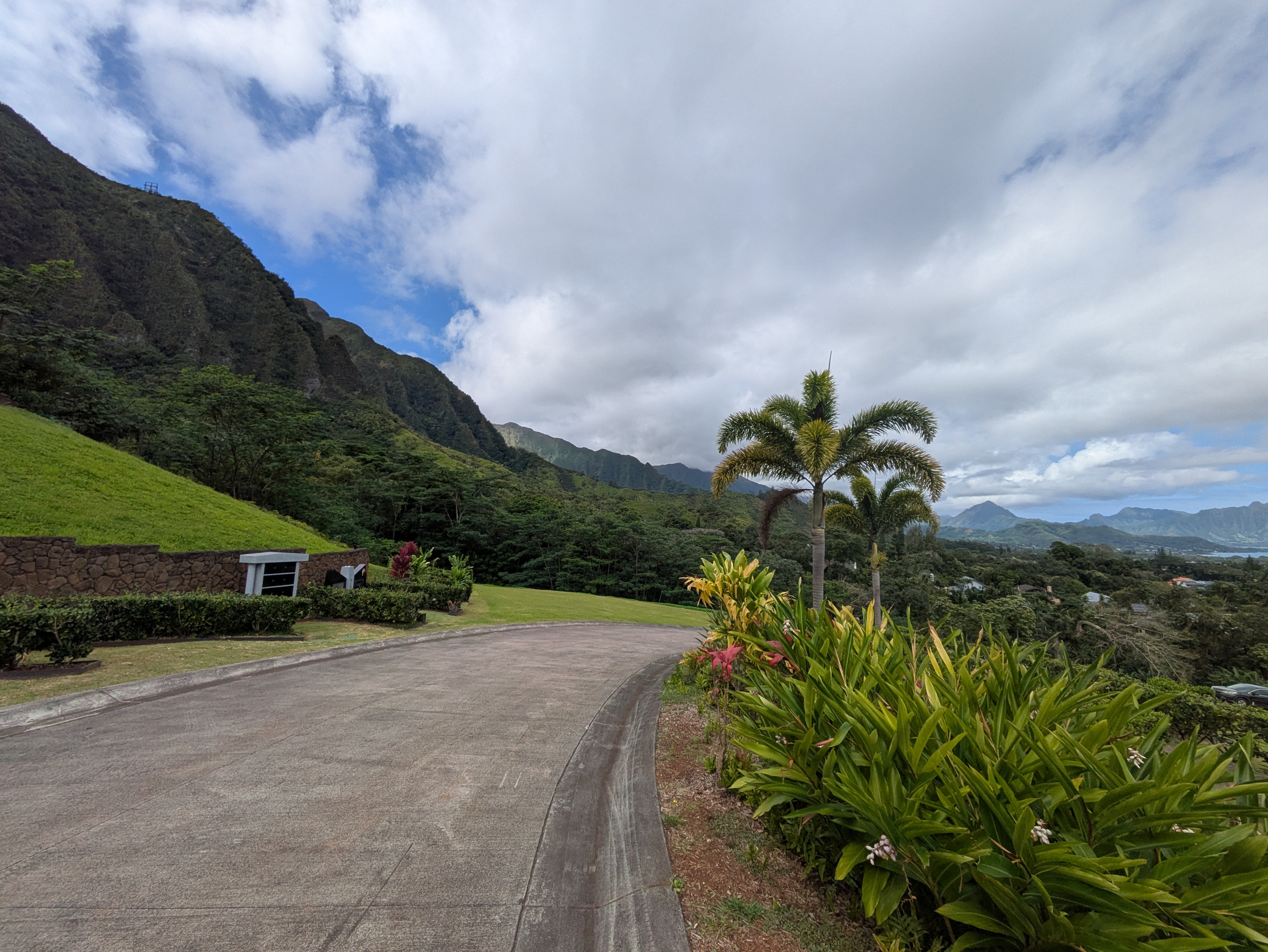 PXL 20250222 223718760