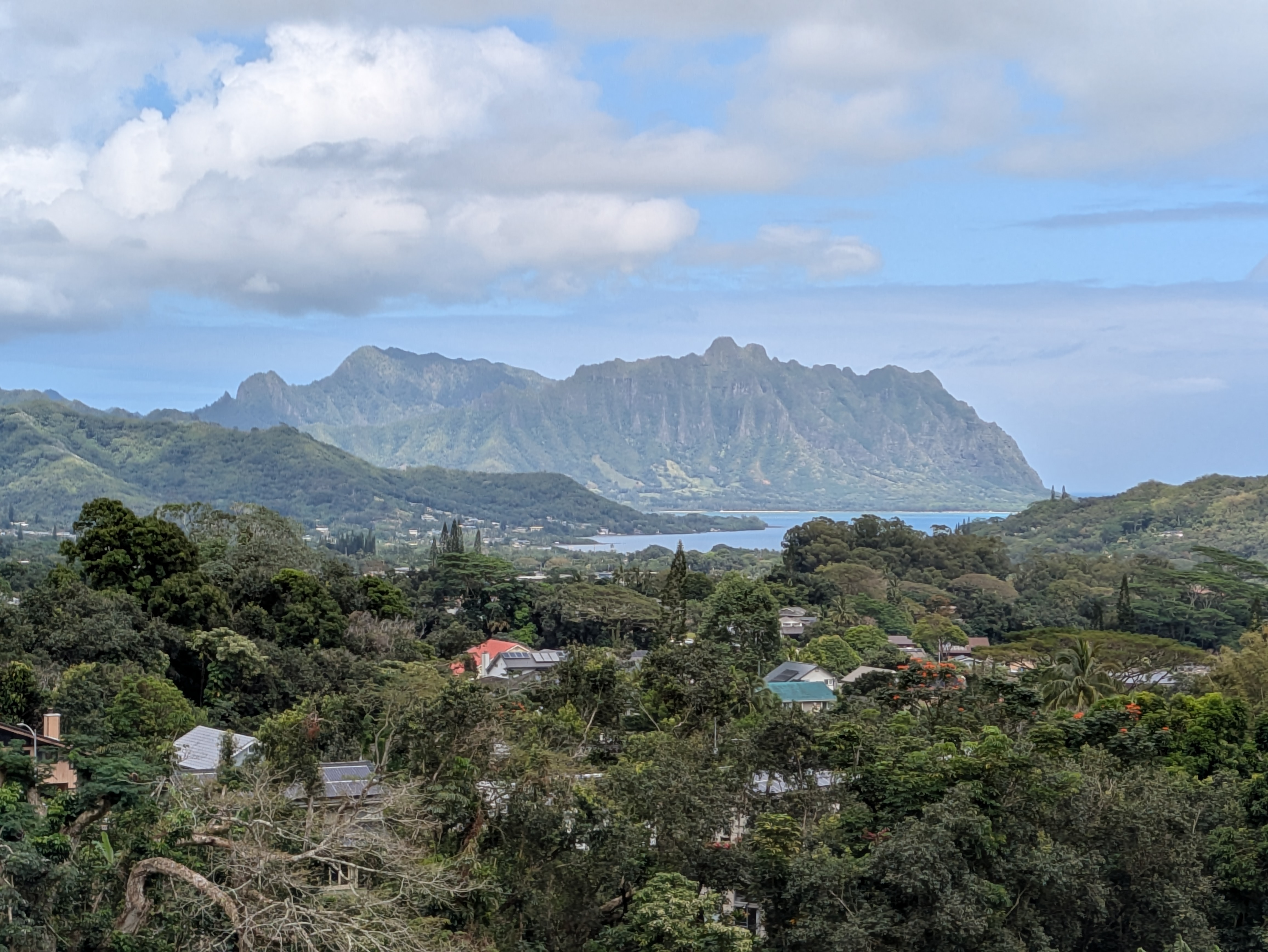 PXL 20250222 223806236