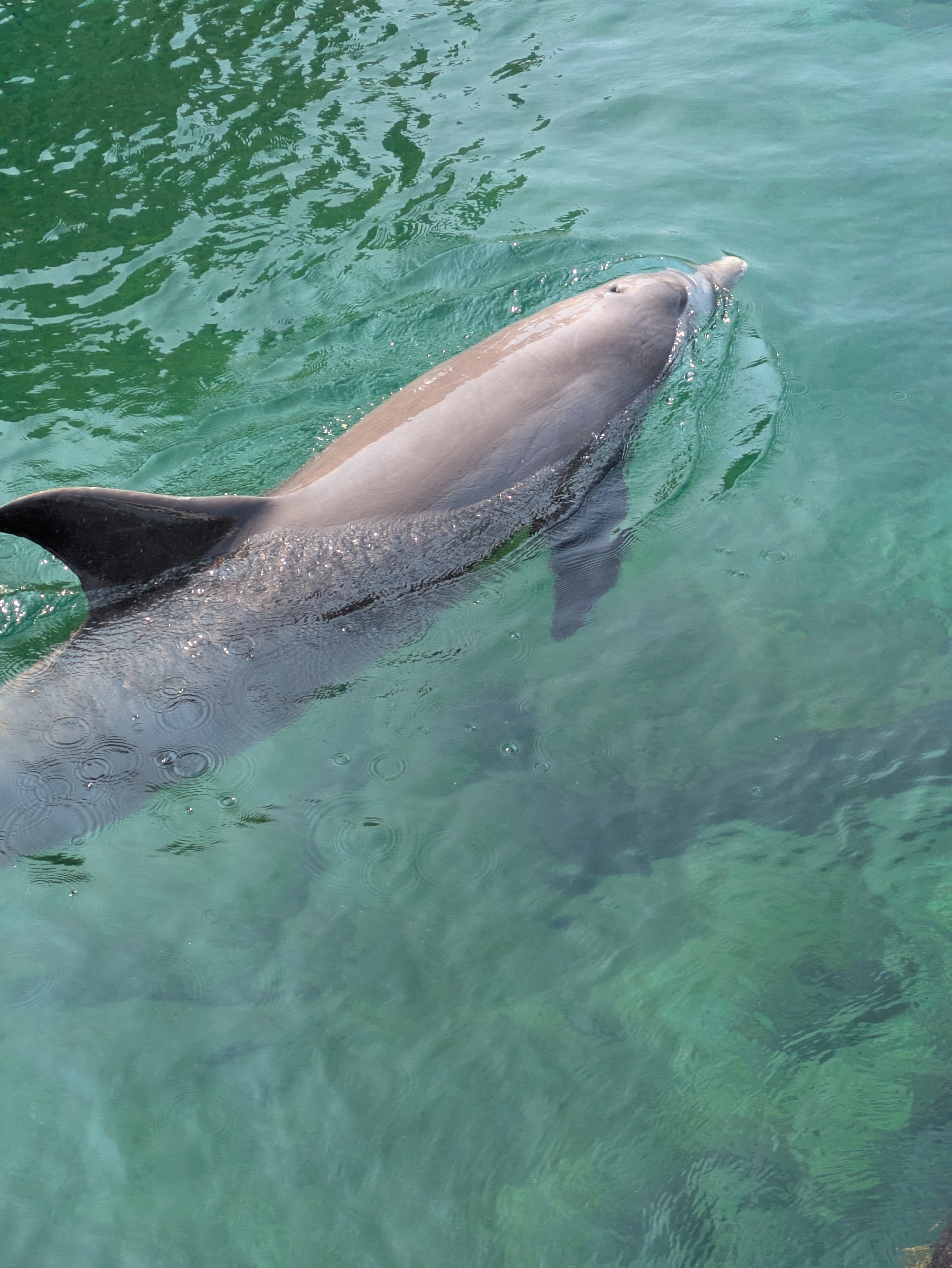 PXL 20250227 001529322