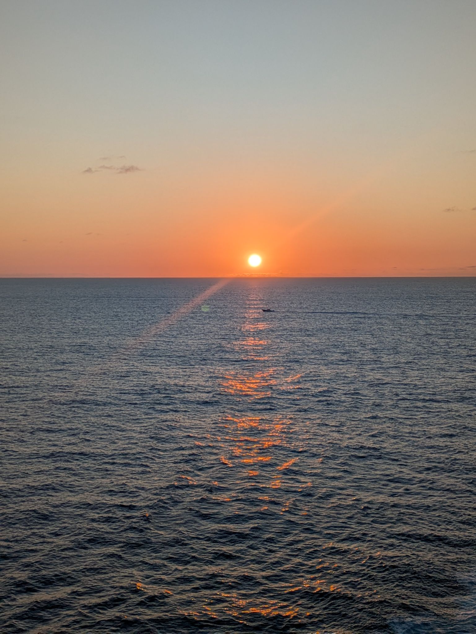 PXL 20250509 103229996