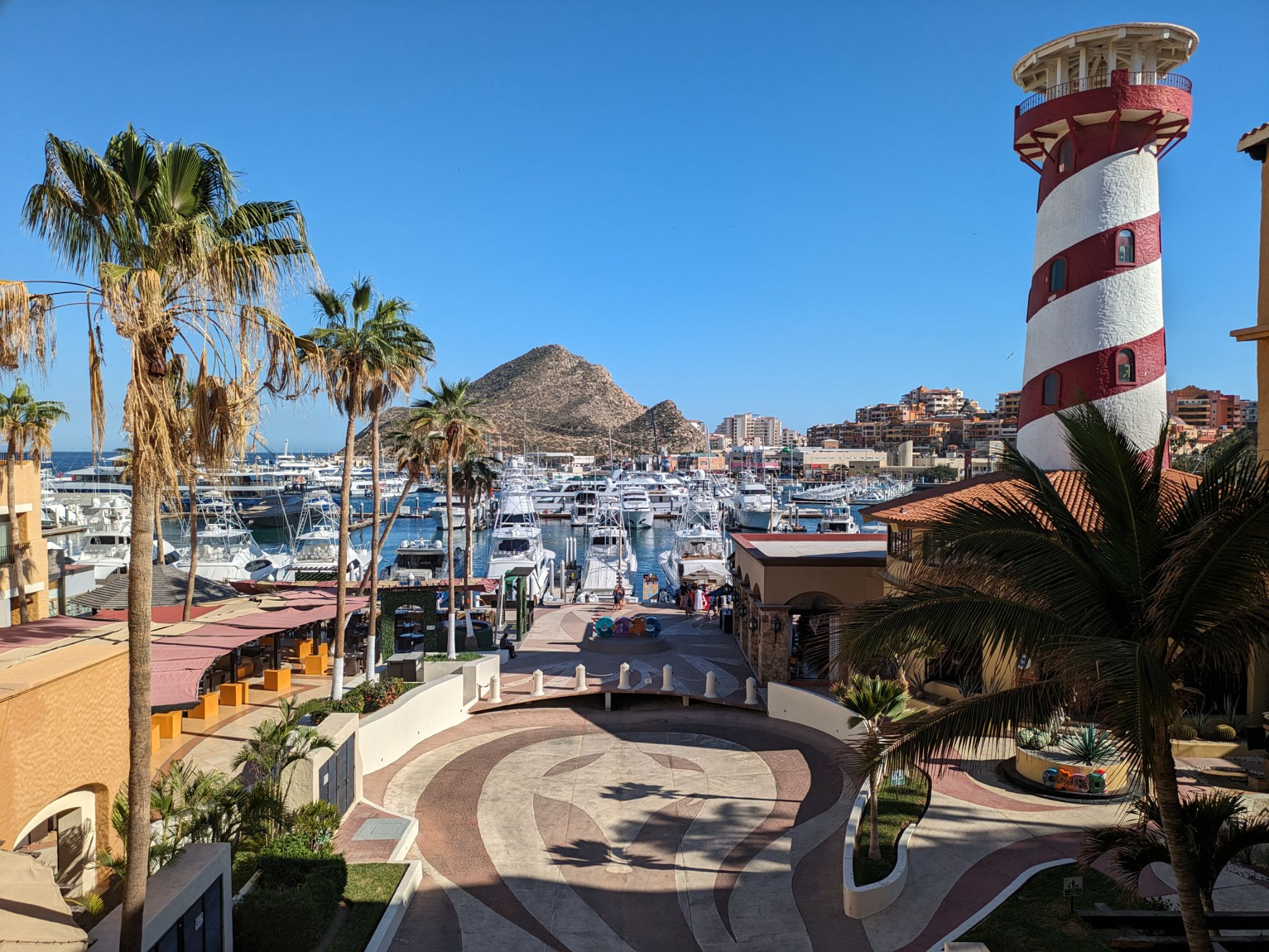 PXL 20240201 221858946