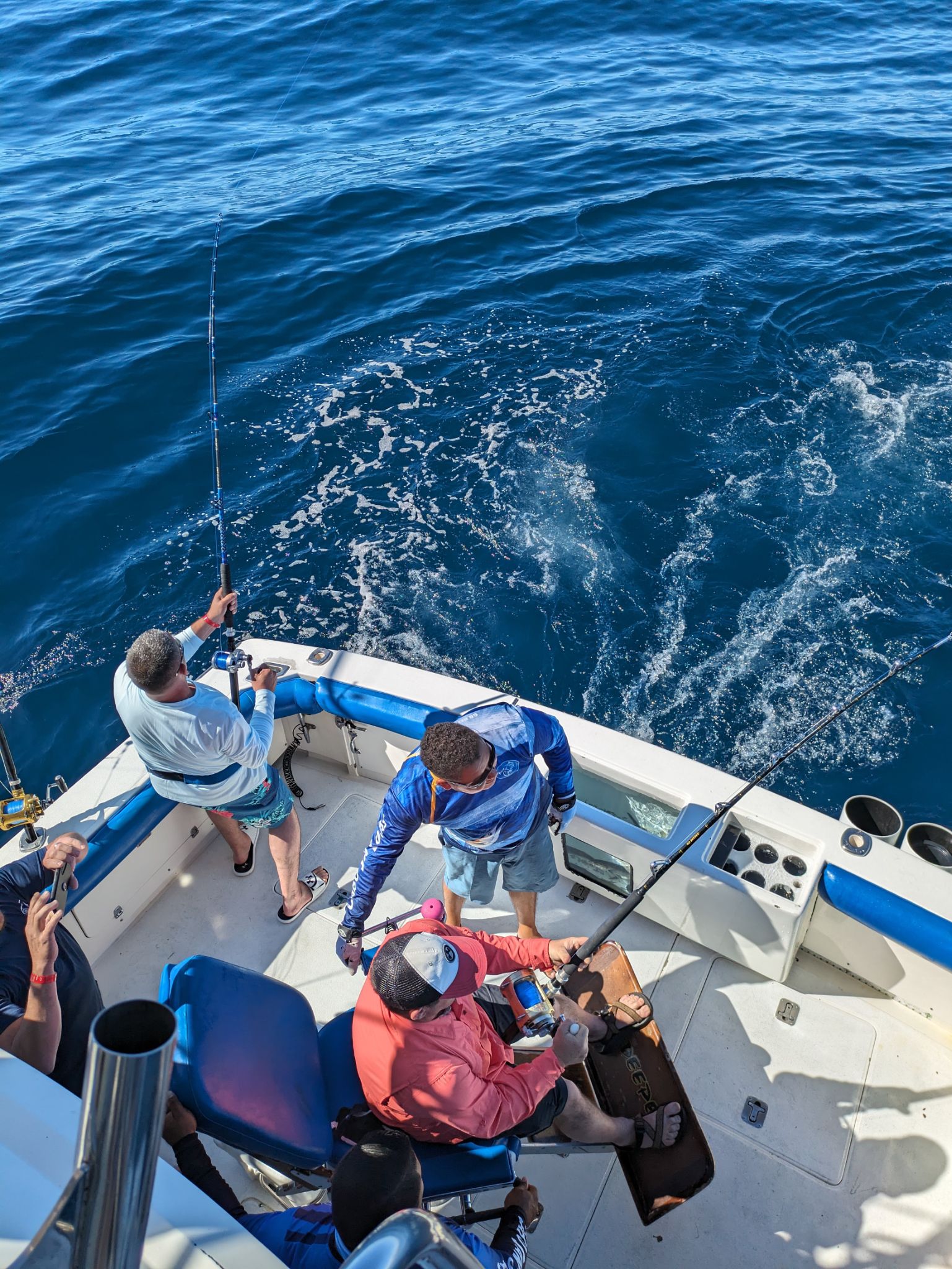 PXL 20240202 174620042