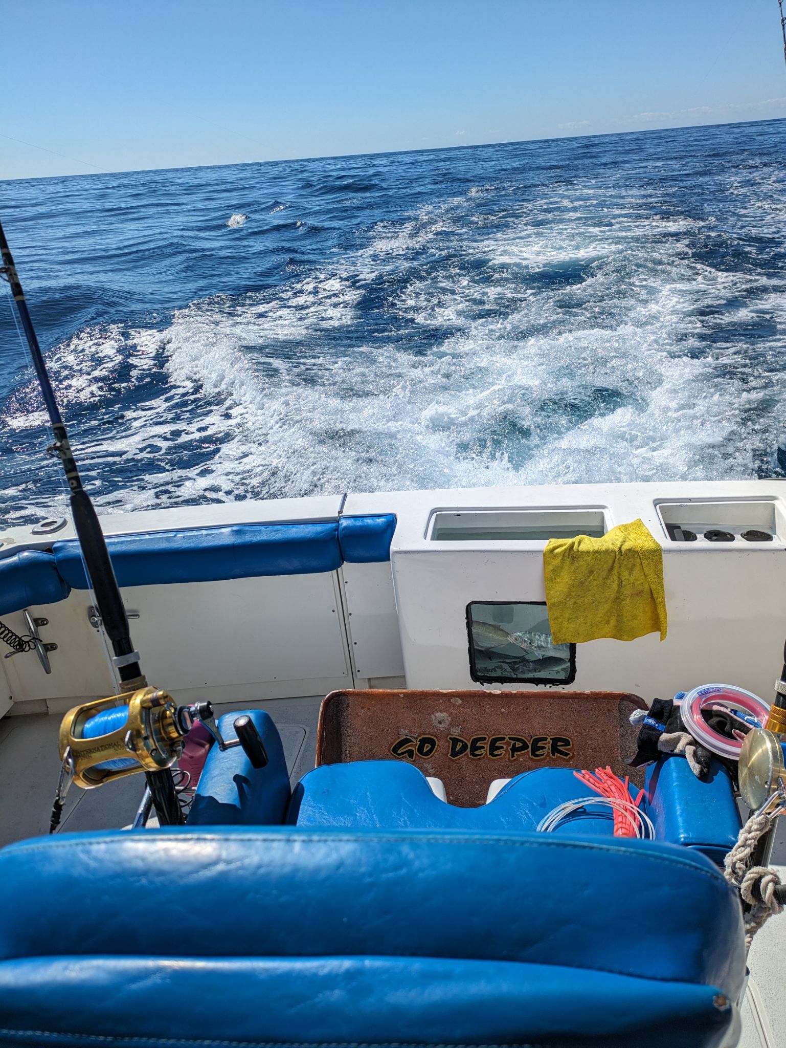 PXL 20240202 182247334