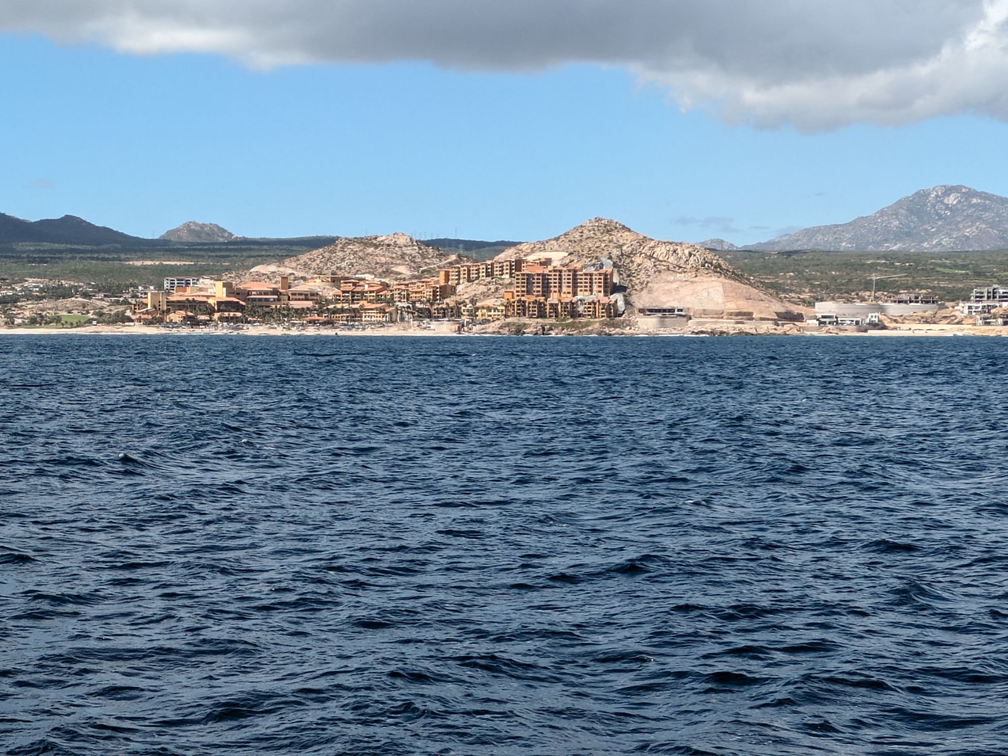 PXL 20240202 203625611