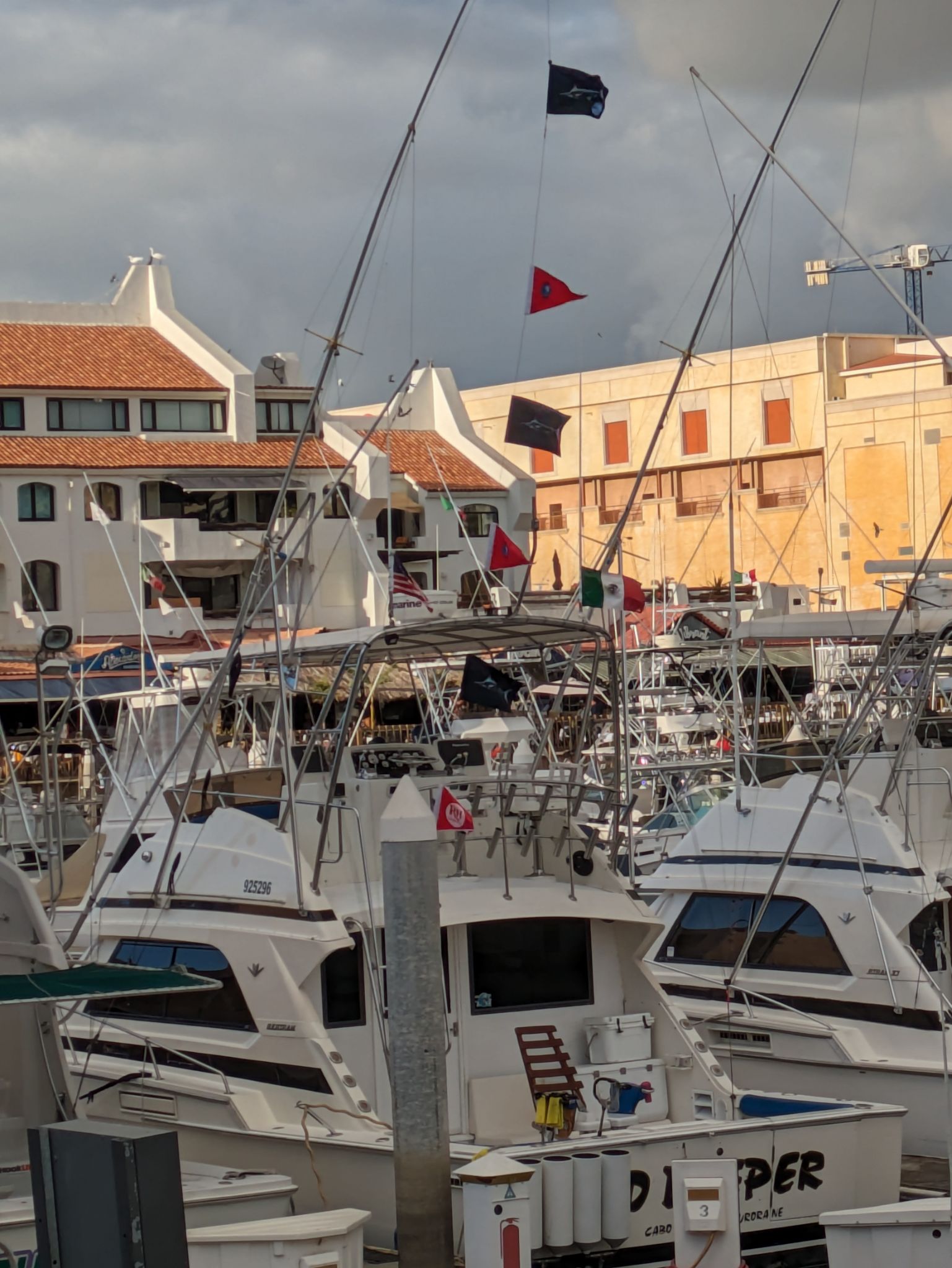 PXL 20240203 001810155