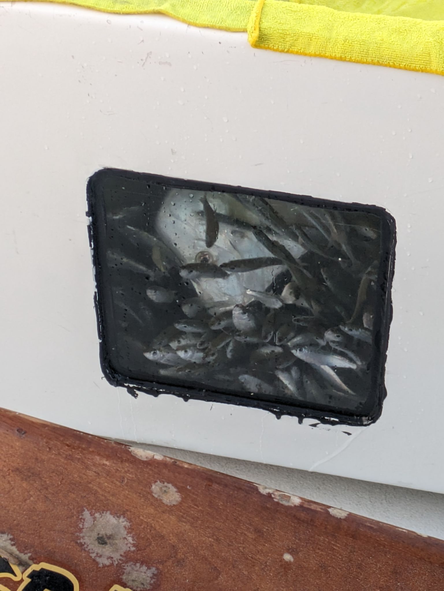 PXL 20240203 140546579