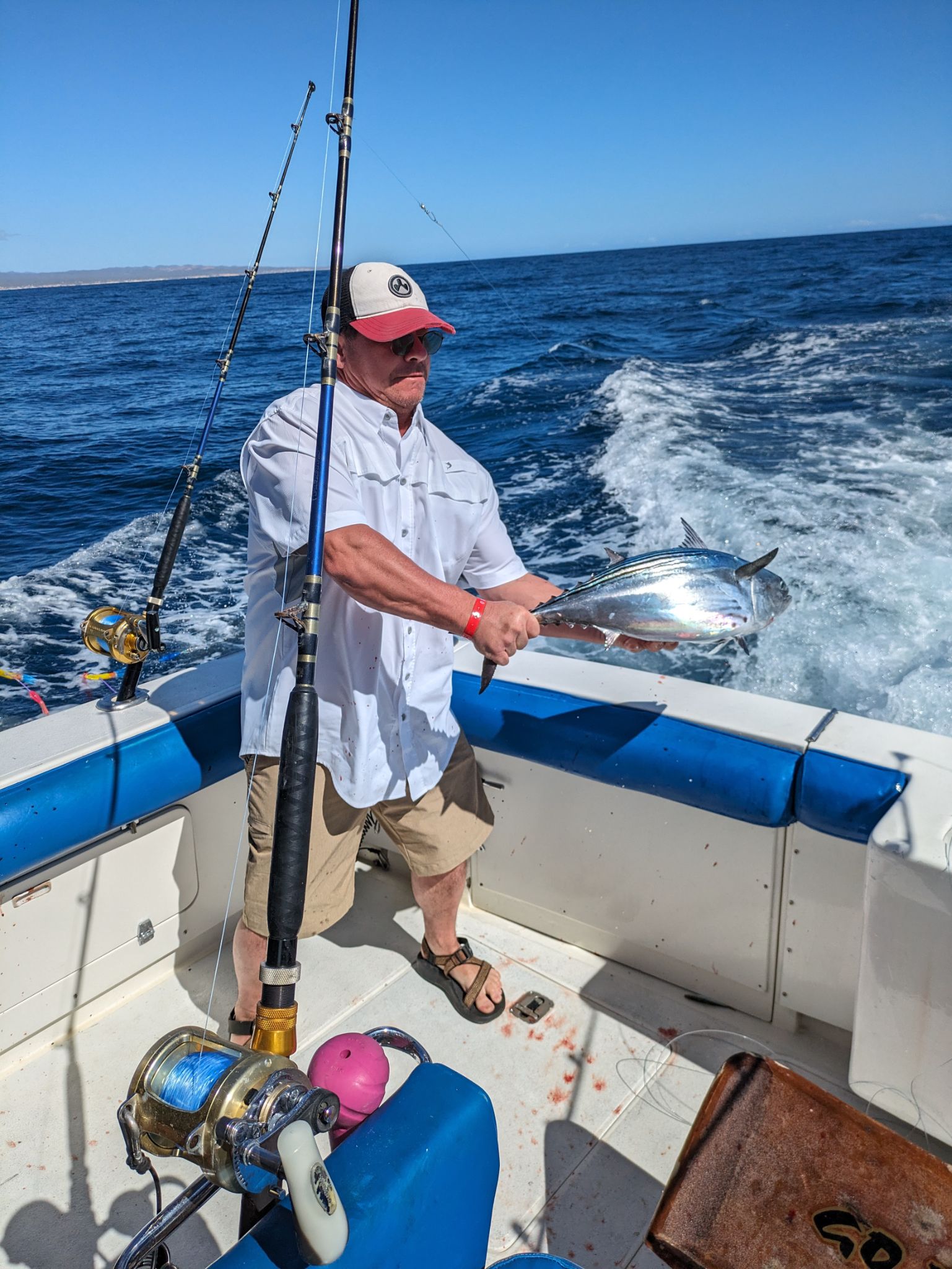 PXL 20240203 183649222