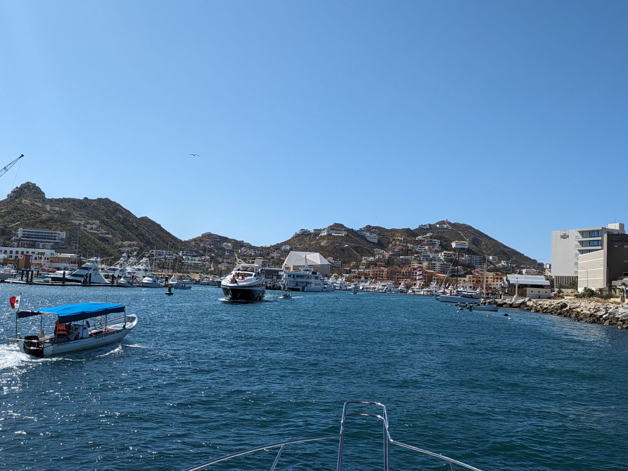 PXL 20240203 210024949