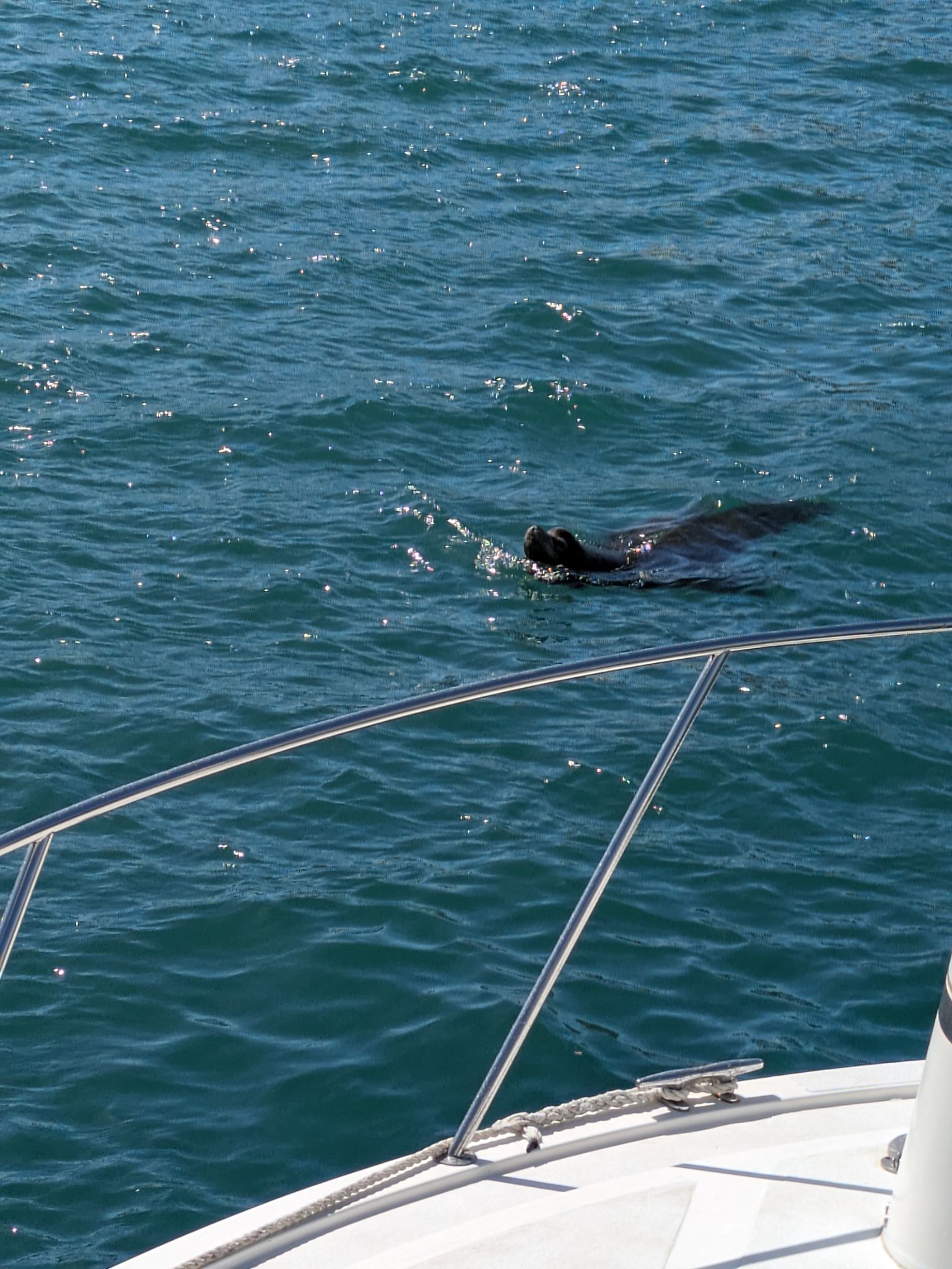 PXL 20240203 210113044