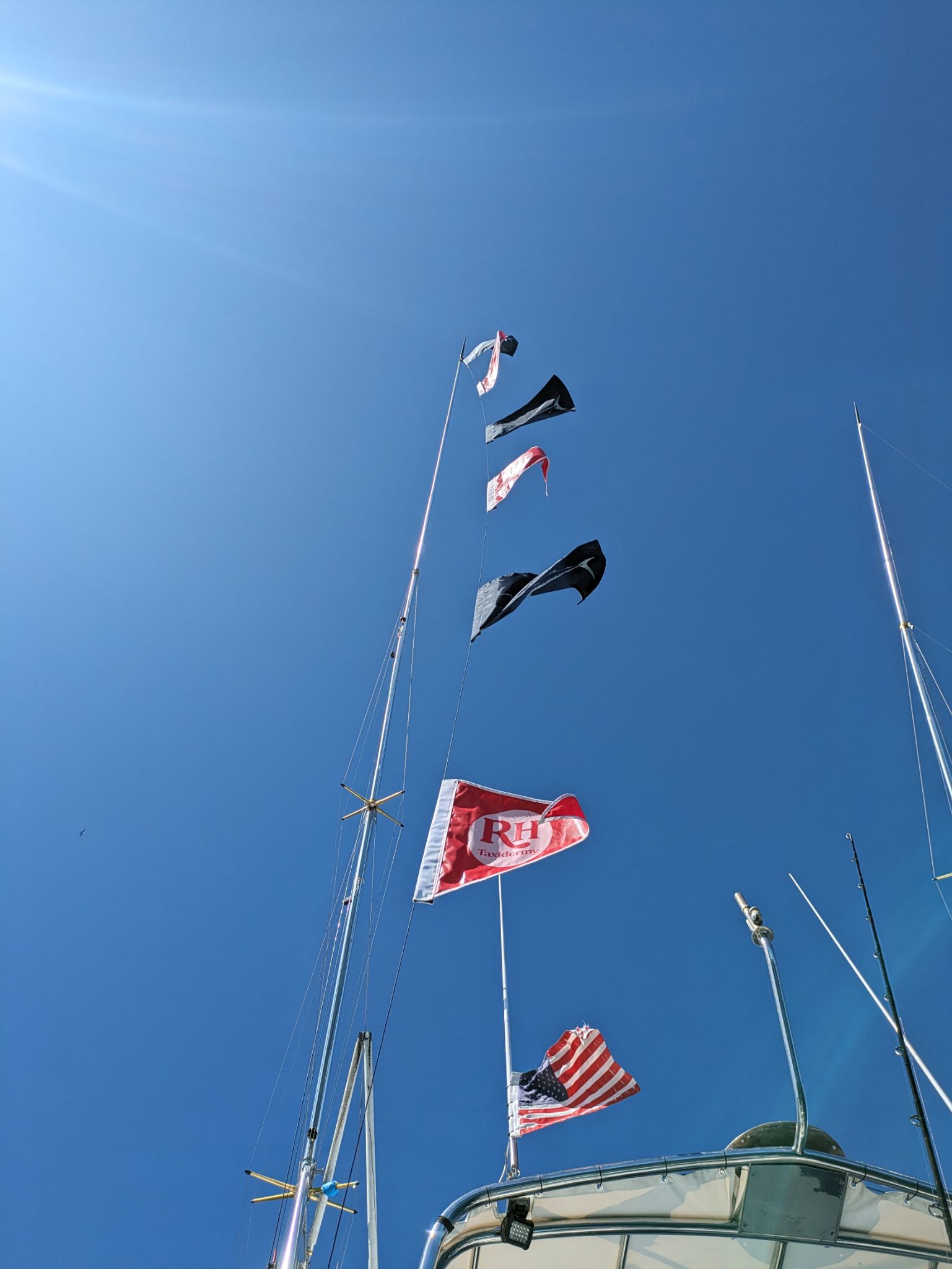 PXL 20240204 204552566